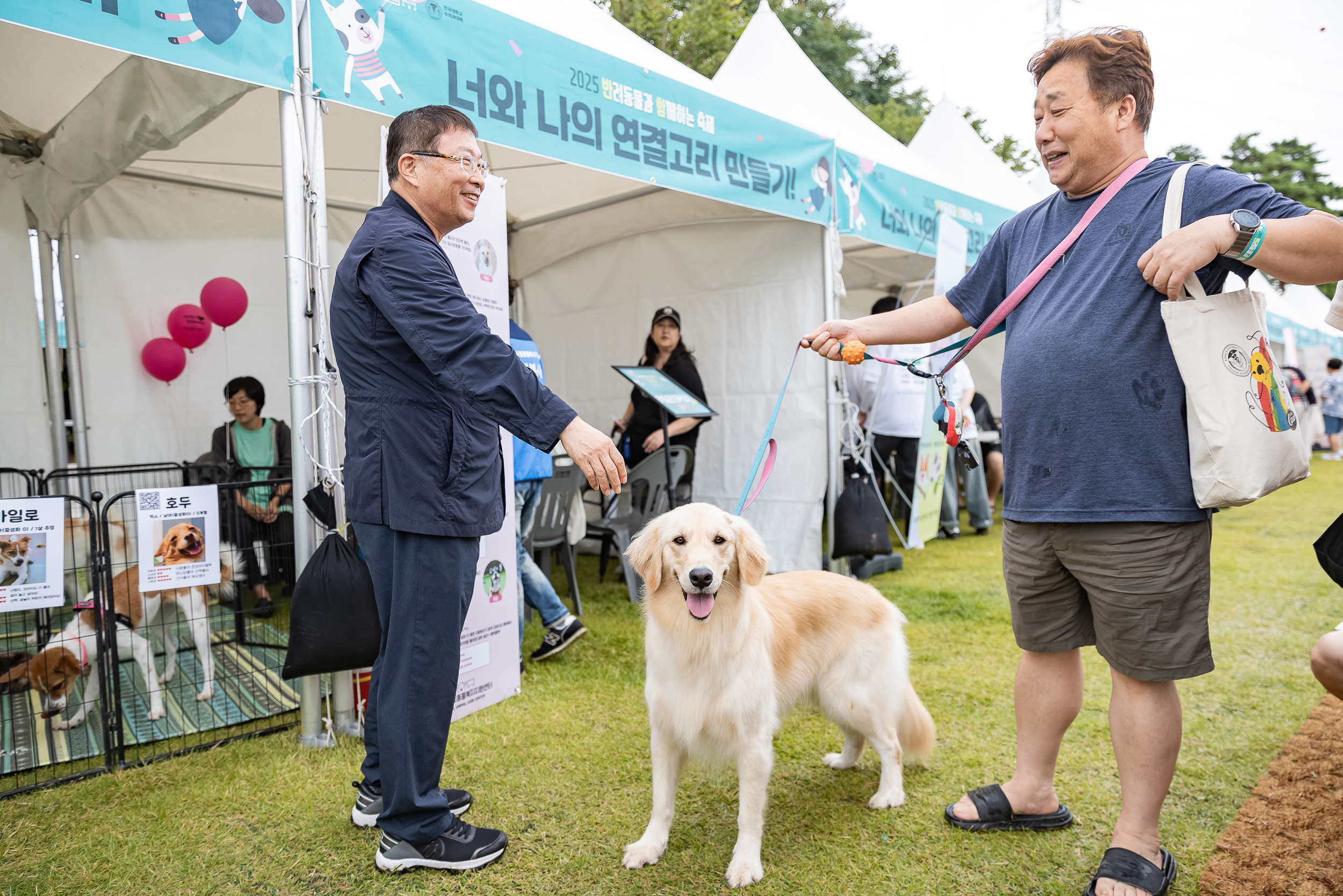 20250928-2025 반려동물과 함께하는 축제 20250928-48949_L_174407.jpg