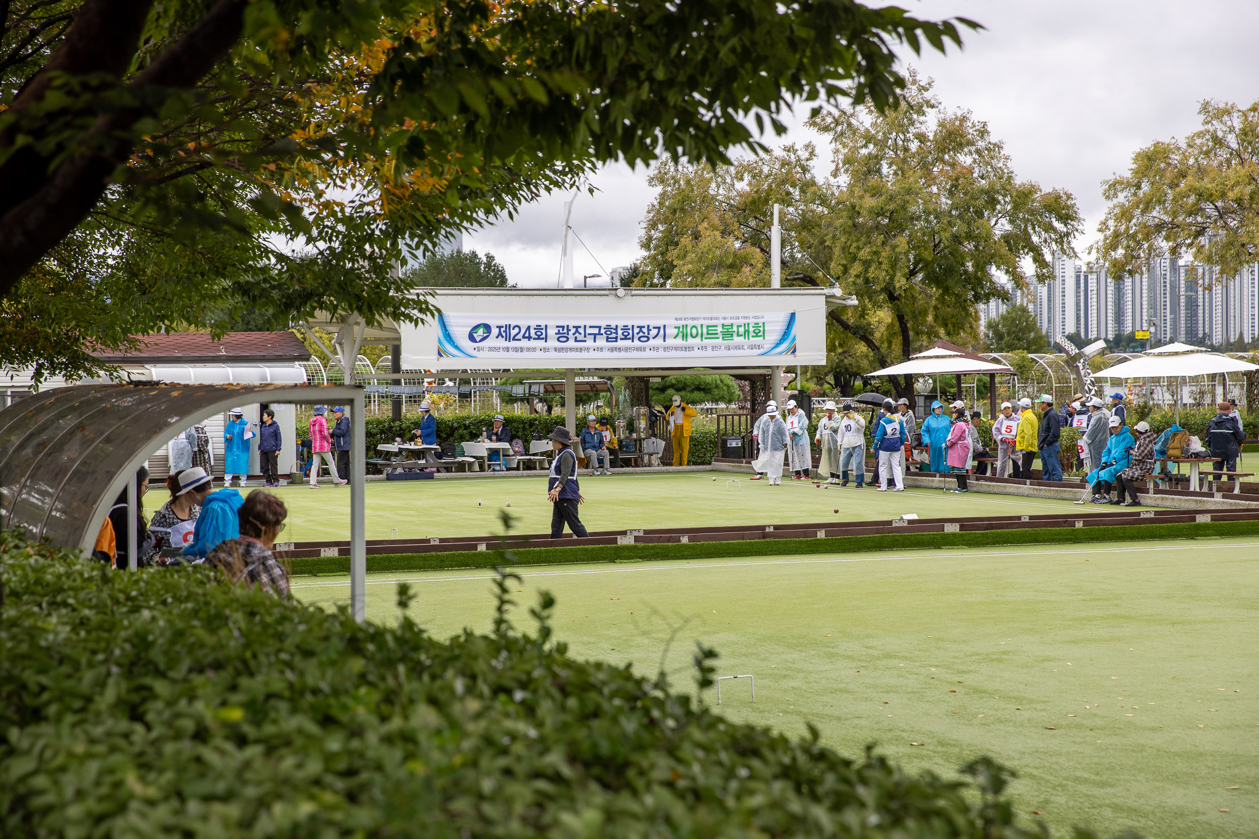 20251013-제24회 광진구협회장기 게이트볼 대회 20251013-54793_L_195225.jpg