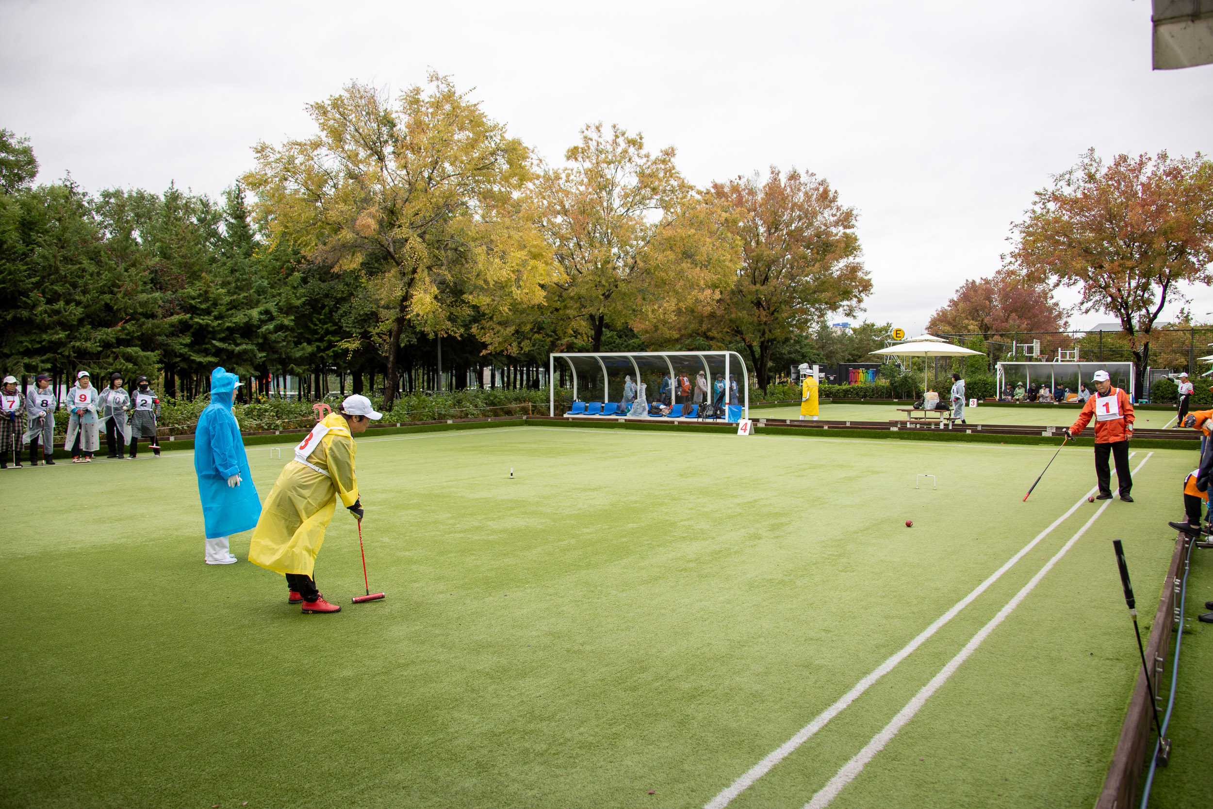 20251013-제24회 광진구협회장기 게이트볼 대회 20251013-54925_L_195226.jpg