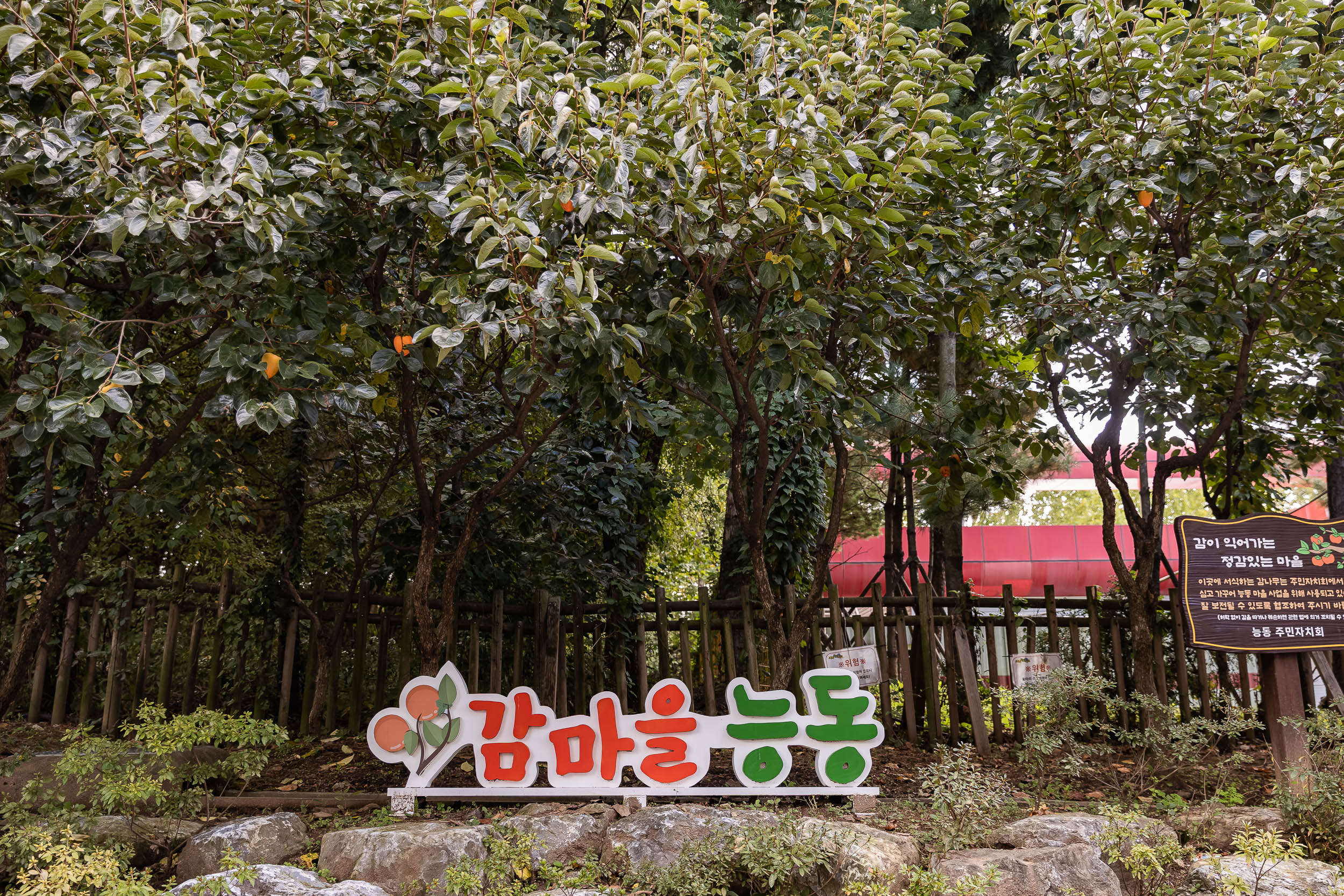 20251023-능동 감마을 축제 20251023-66129_L_173341.jpg