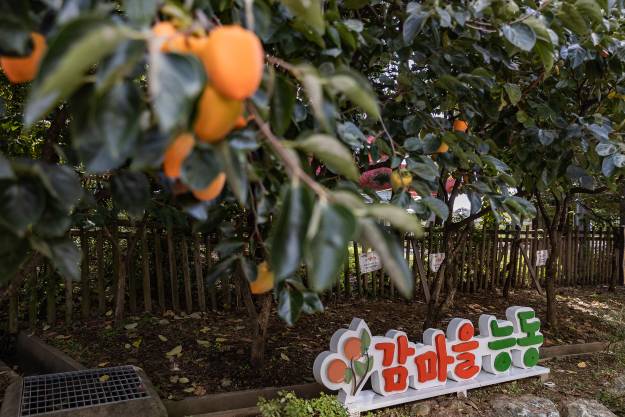20251023-능동 감마을 축제