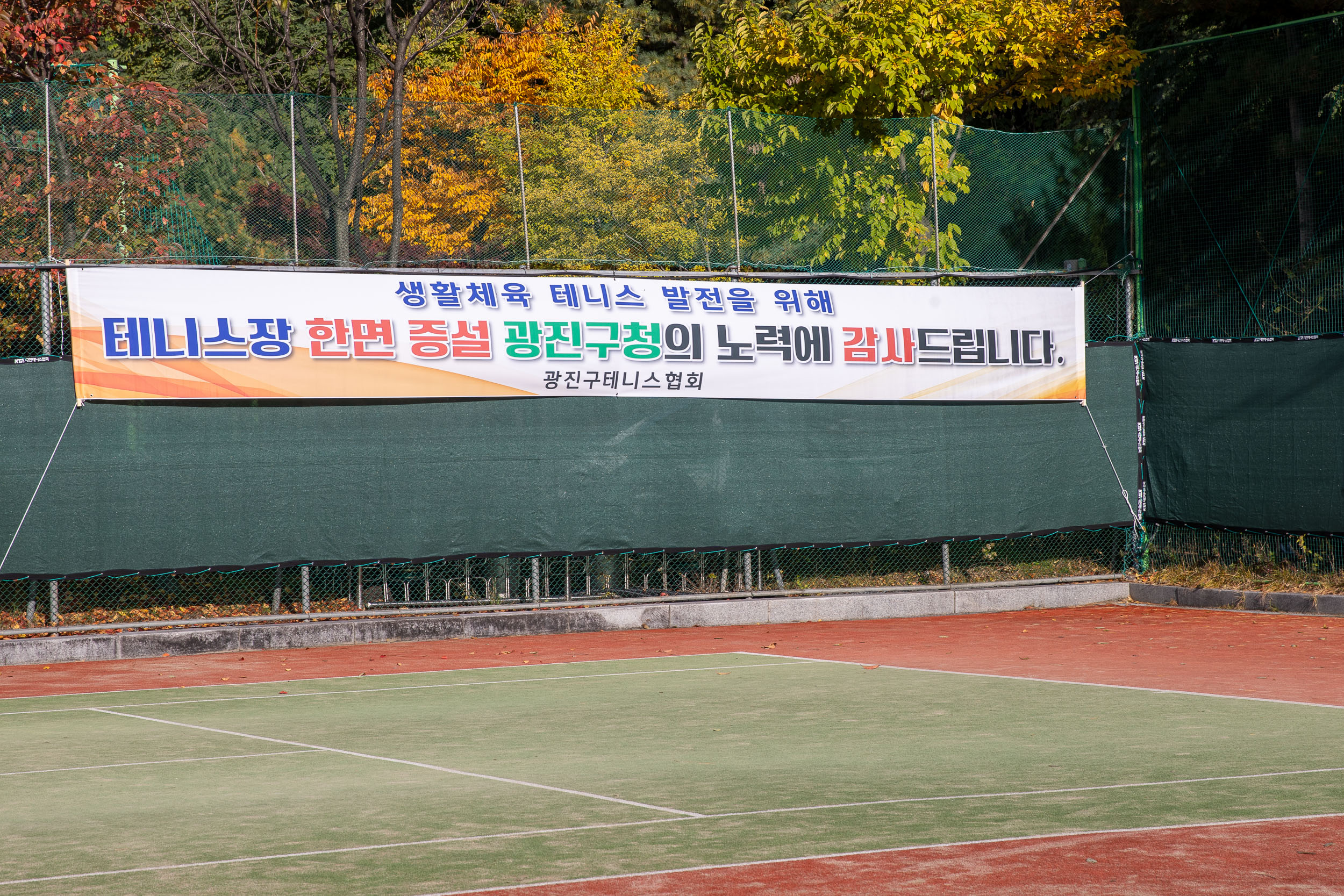 20251102-제29회 광진구청장기 테니스 대회 20251102-81549_L_163356.jpg