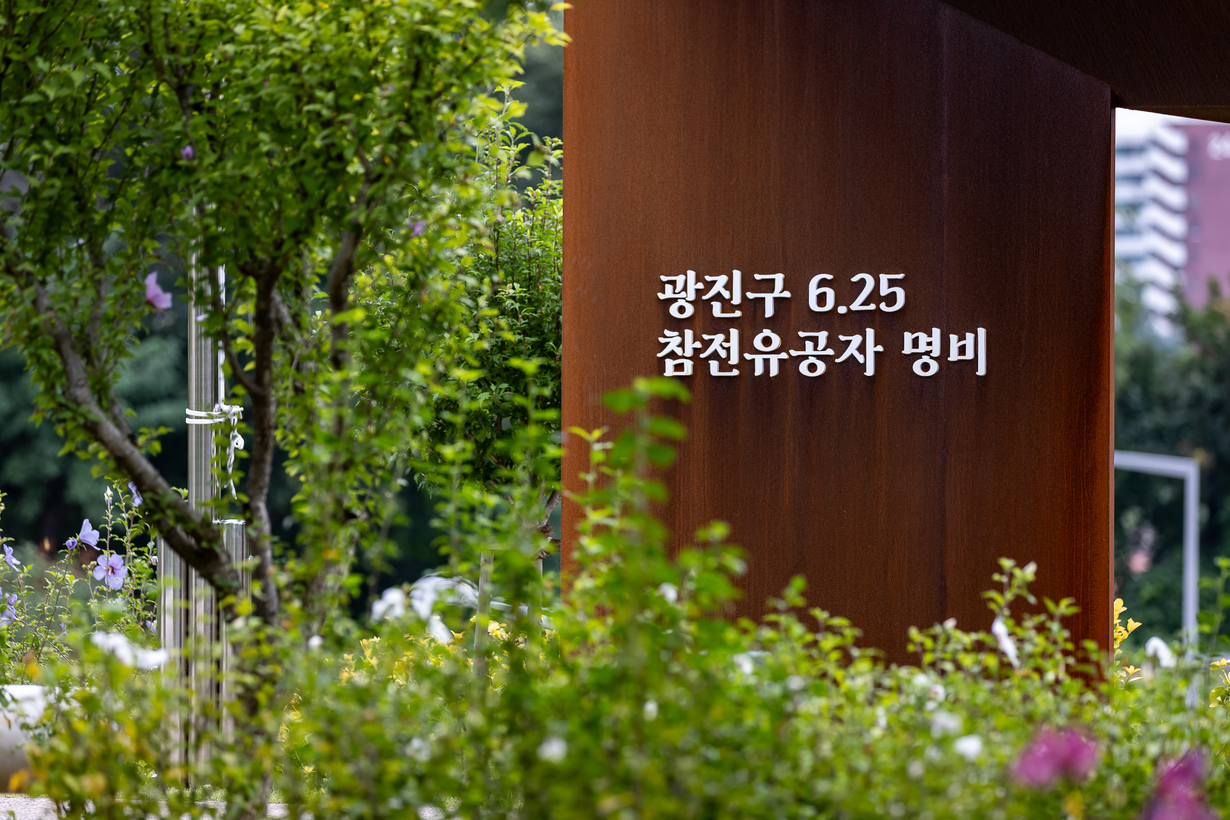 20250909-보훈단체 지회장 무궁화정원 방문 20250909-20968_G_171527.jpg