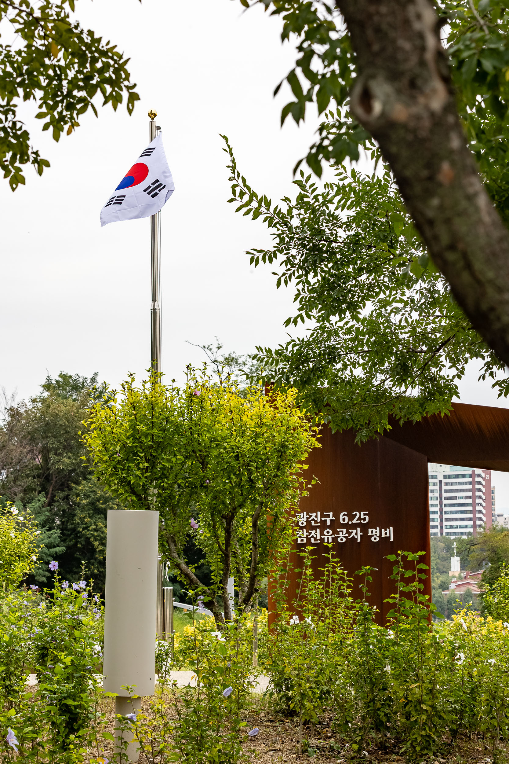 20250909-보훈단체 지회장 무궁화정원 방문 20250909-20971_G_171527.jpg