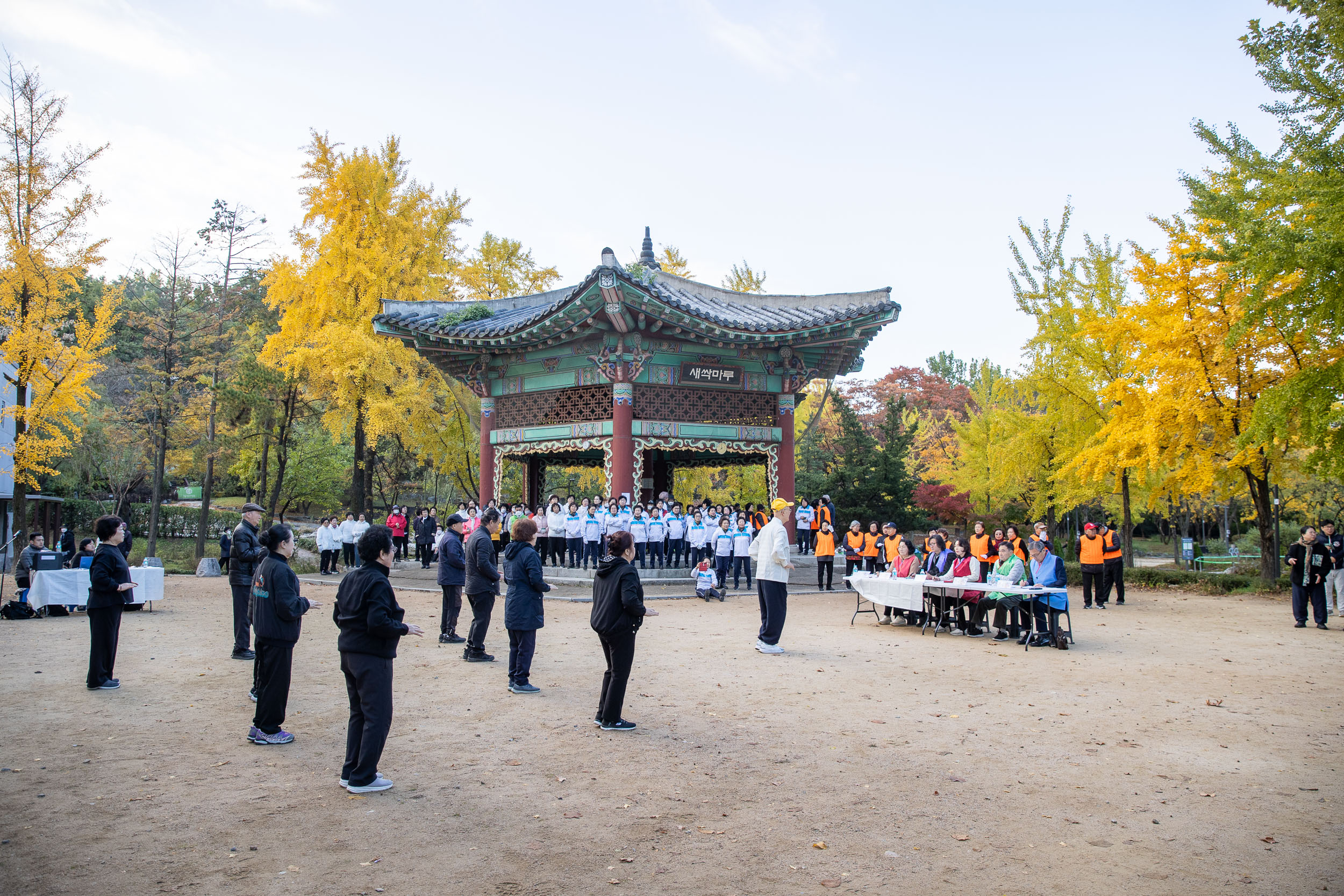 20251102-제22회 광진구협회장기 국학기공대회 20251102-81414_L_163302.jpg