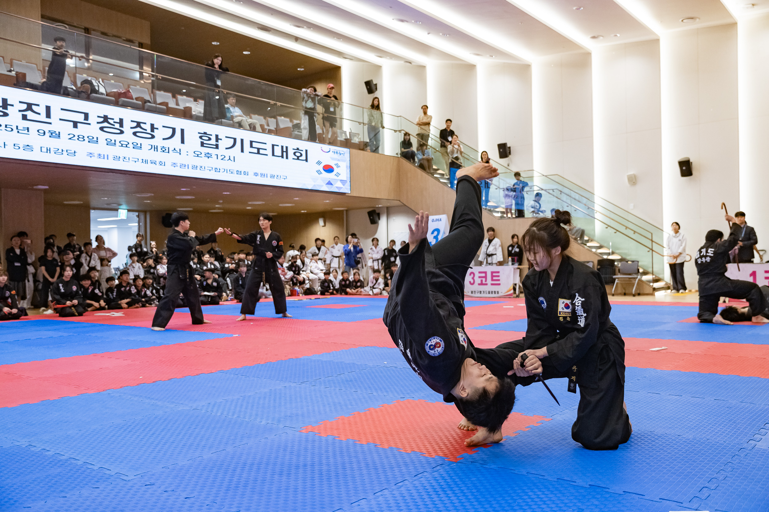 20250928-제13회 광진구청장기 합기도대회 20250928-48651_L_173952.jpg