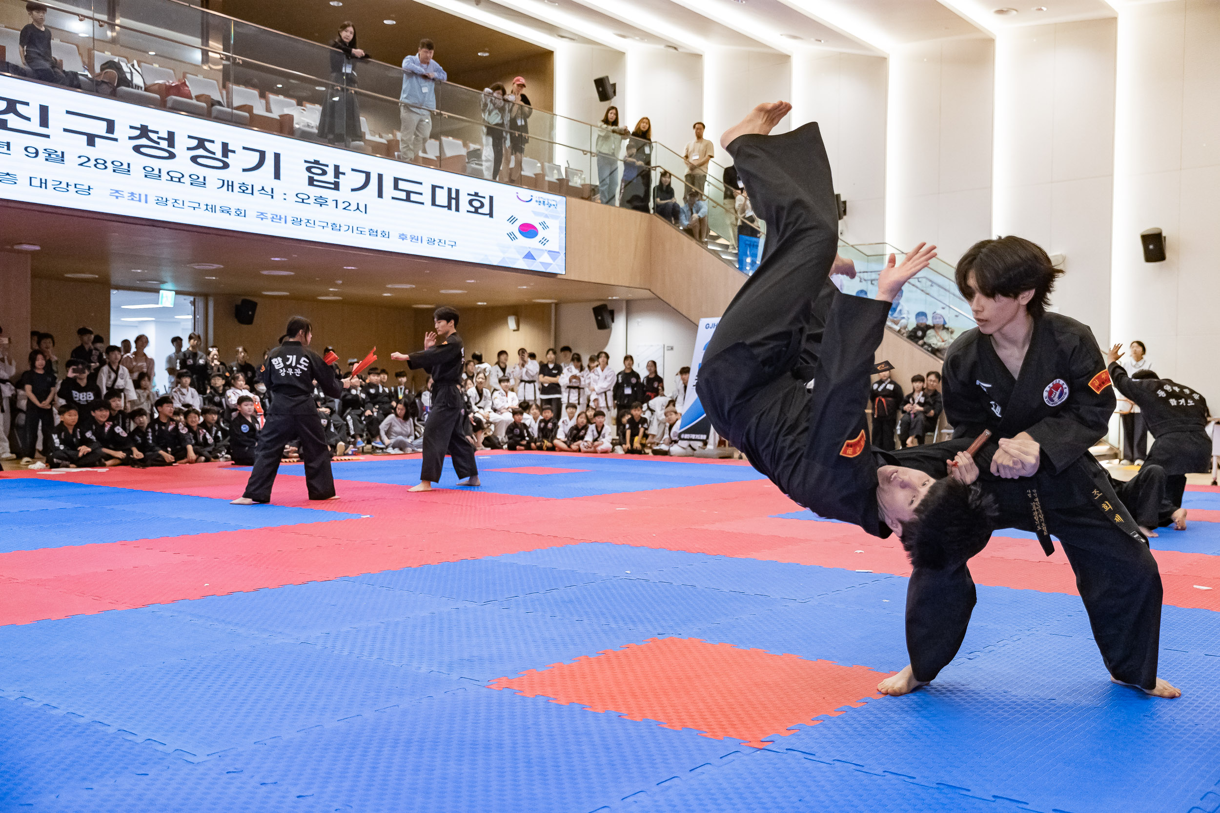 20250928-제13회 광진구청장기 합기도대회 20250928-48741_L_173953.jpg