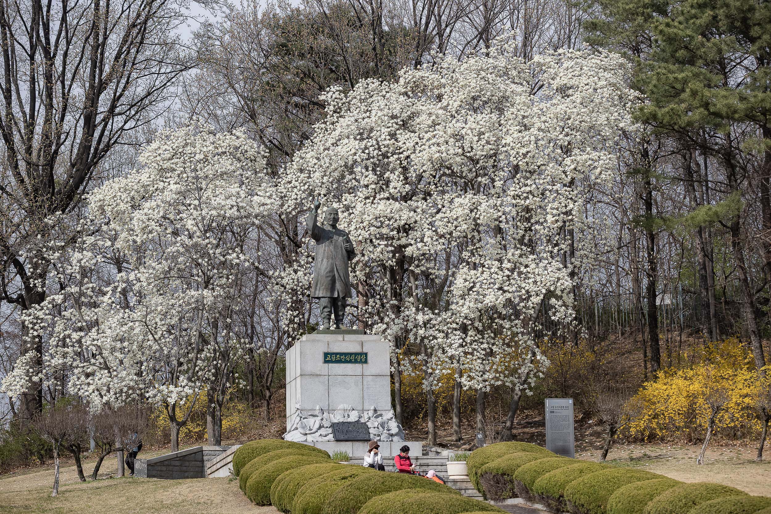 20220410-광진의 봄날 - 사람, people, 人 20220406-1115_G_1_G_G_075731.jpg