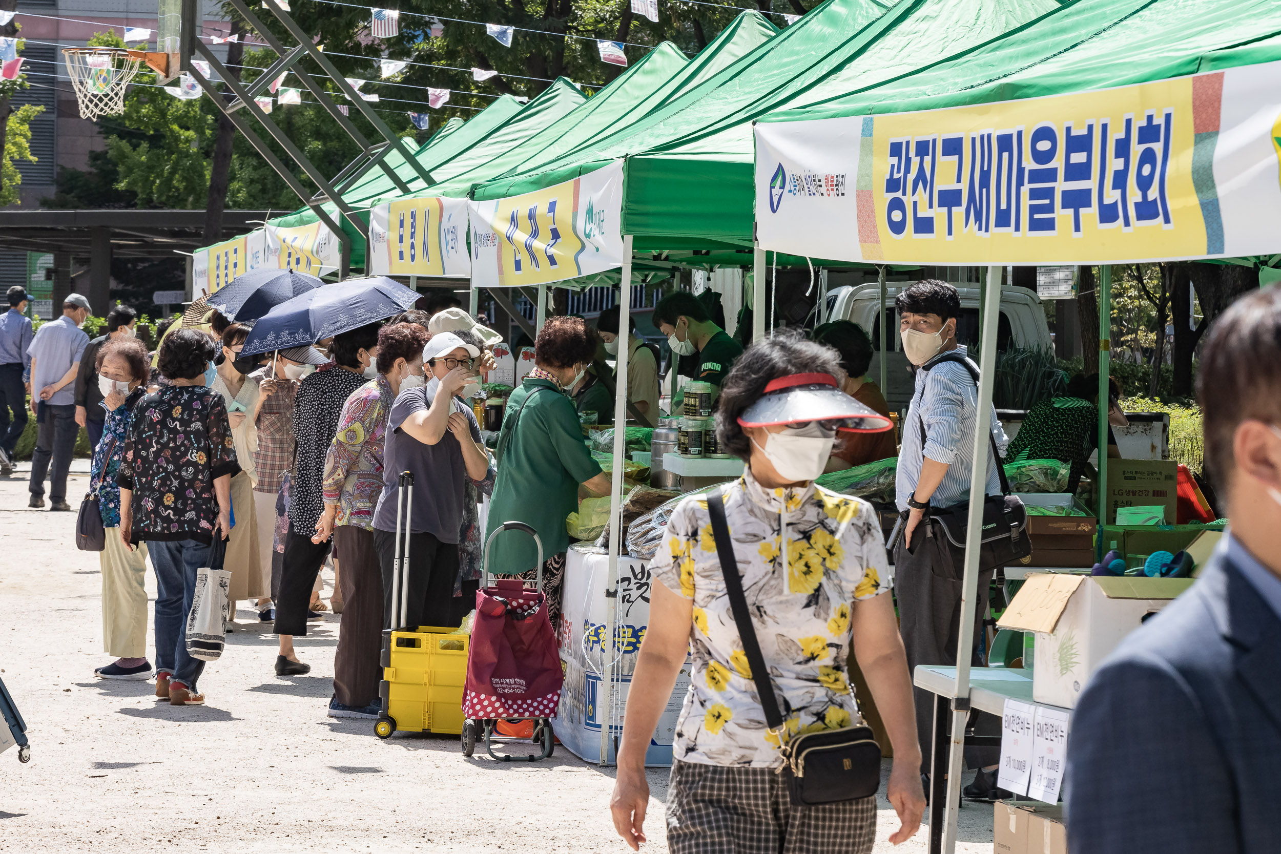 20220901-추석맞이 농수특산물 직거래장터 220901-0575_G_213548.jpg