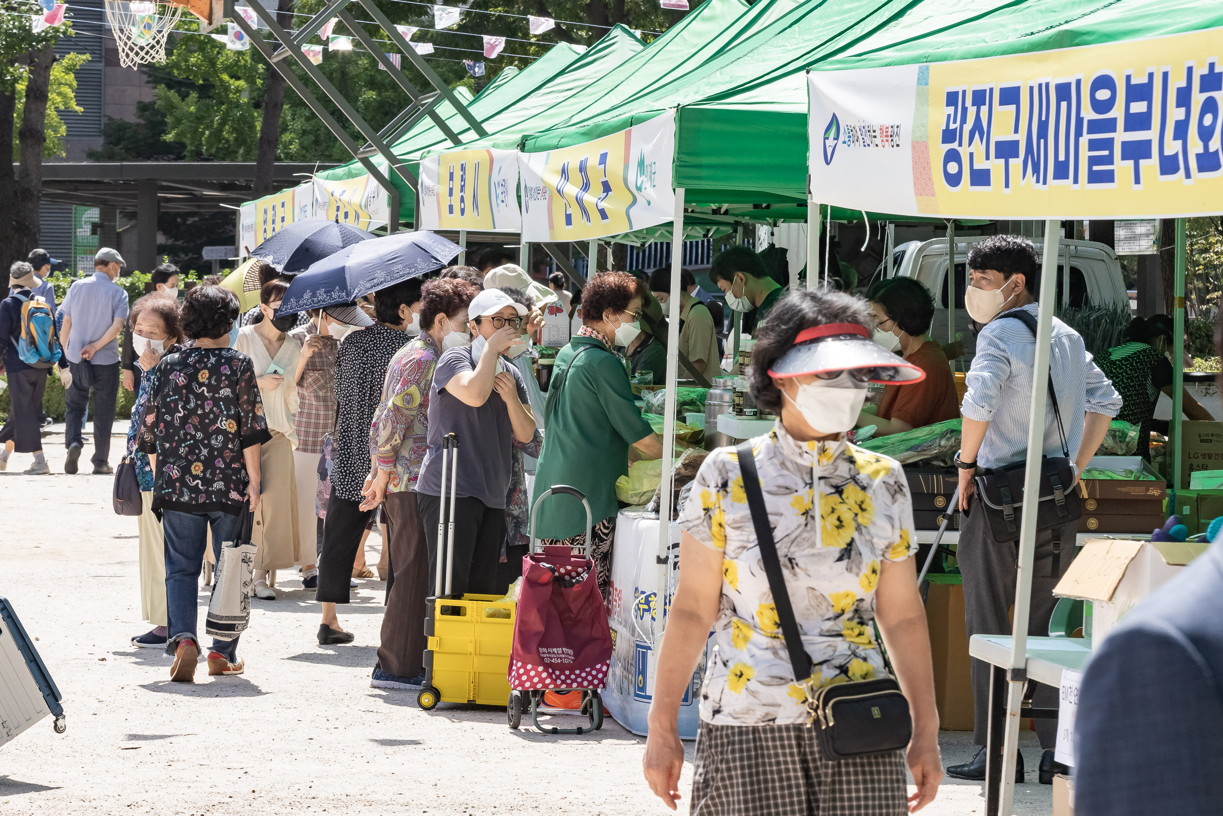 20220901-추석맞이 농수특산물 직거래장터 220901-0578_G_213548.jpg