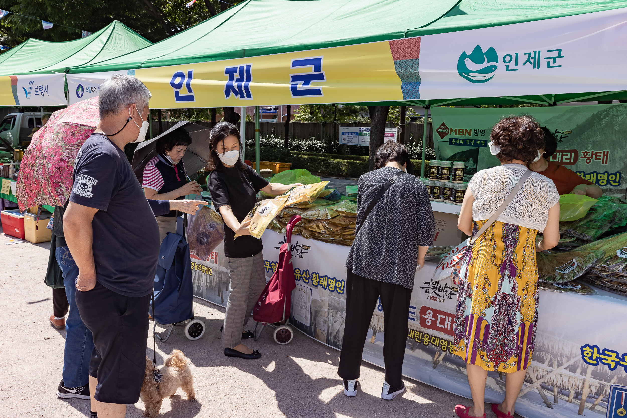 20220901-추석맞이 농수특산물 직거래장터 220901-0794_G_213551.jpg