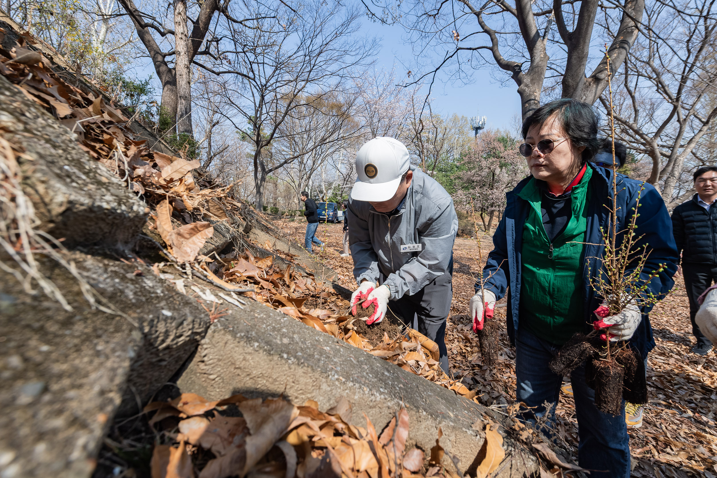 20250407-환경보존을 위한 새마을 나무심기 20250407-45113_L_174018.jpg