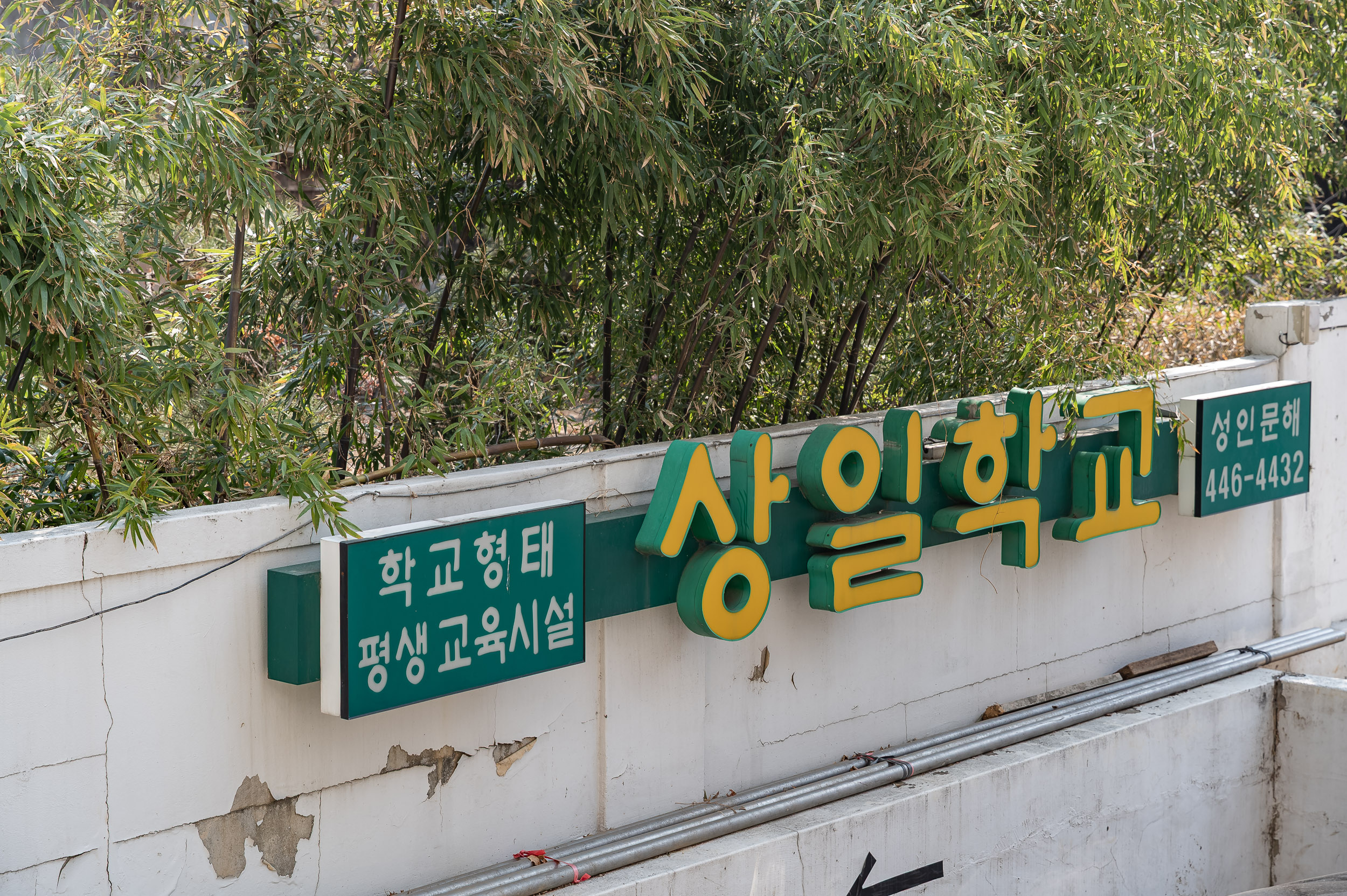 20250401-상일학교 입학식(50주년 기념) 20250401-41121_L_152458.jpg