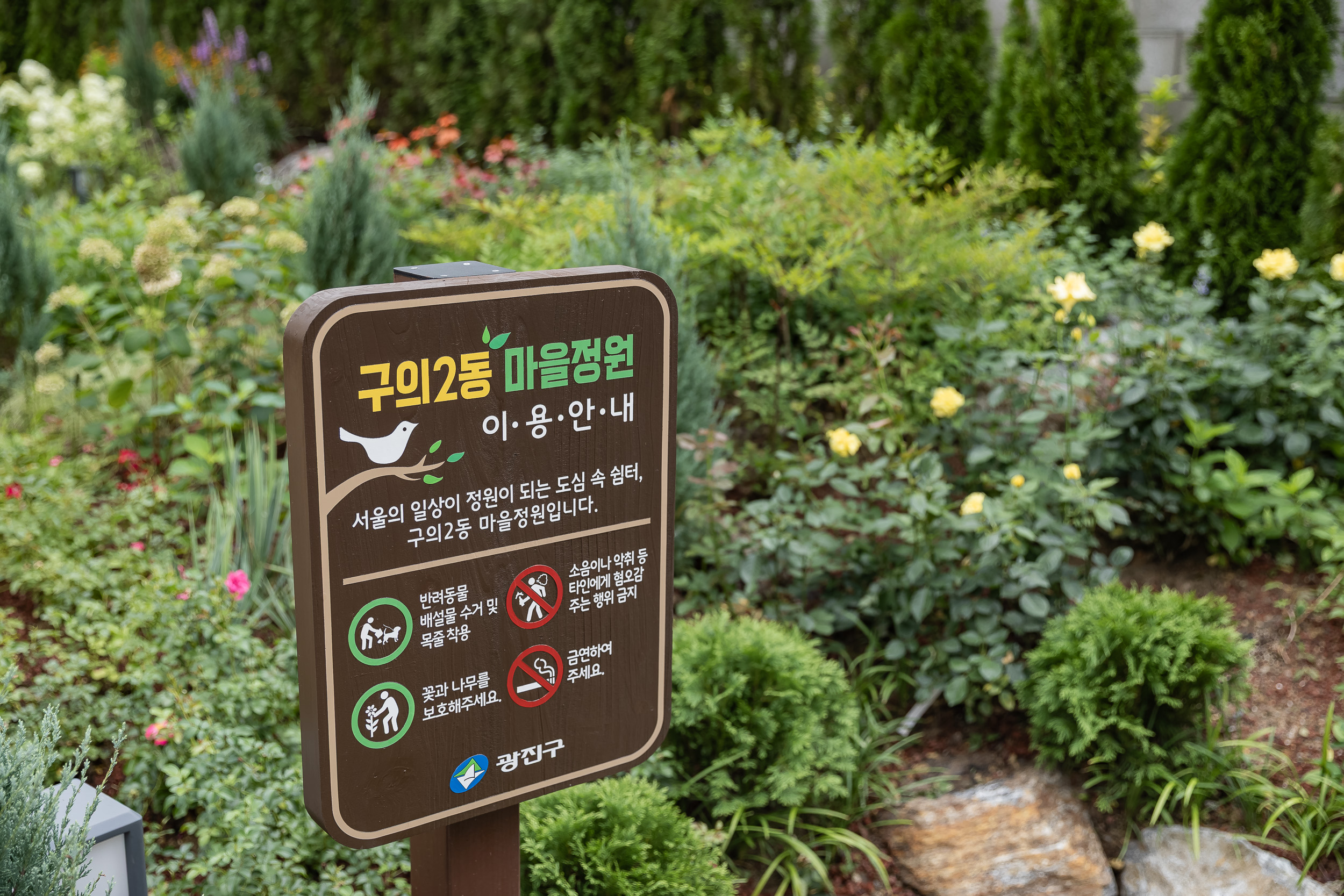 20250721-공원 및 조경 공사준공 현장방문 20250721-12123_L_150833.jpg