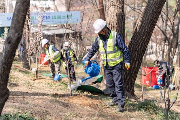 20250404-탄소중립 직원 나무심기 행사(제80회 식목일 기념)