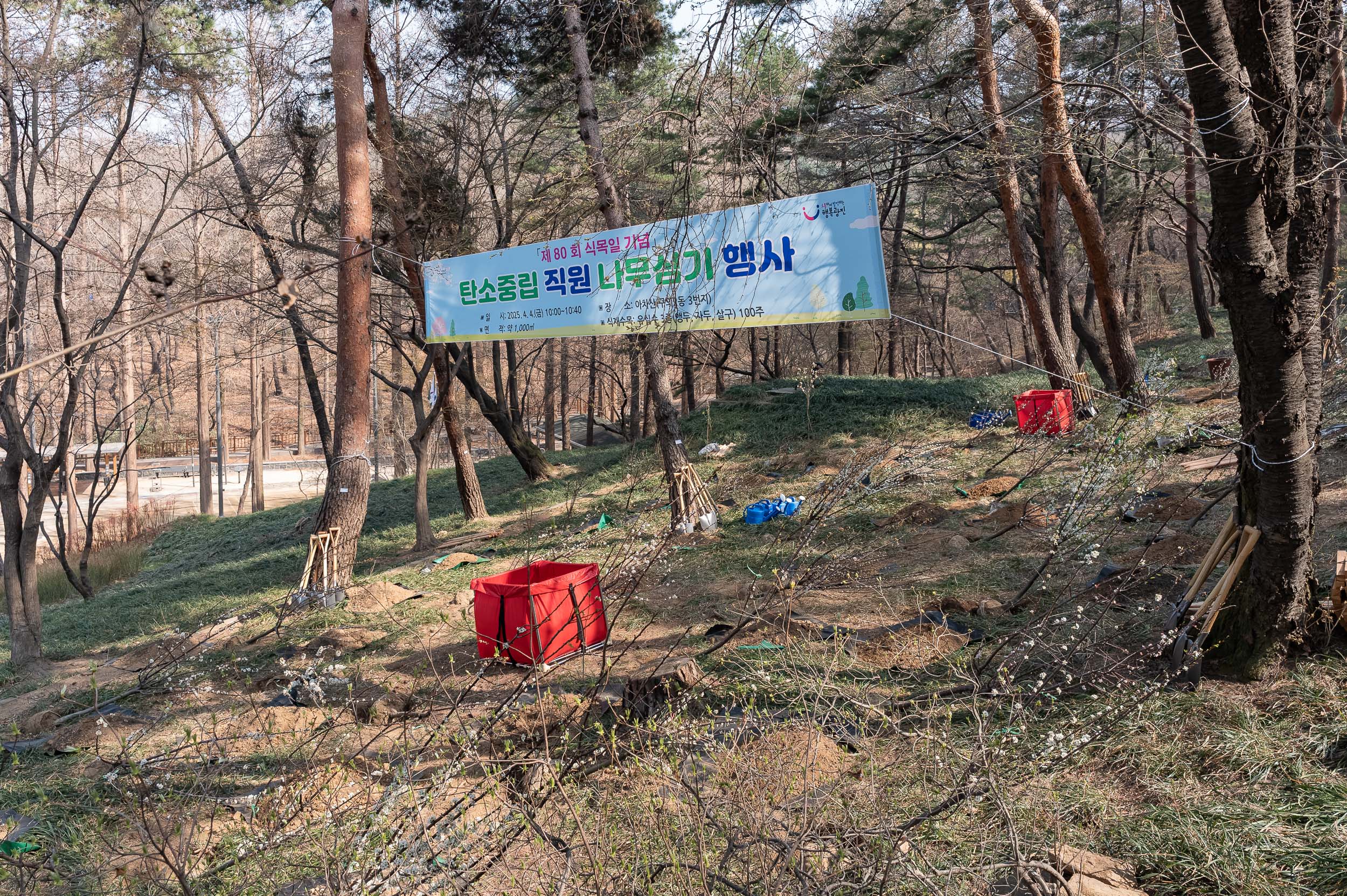 20250404-탄소중립 직원 나무심기 행사(제80회 식목일 기념) 20250404-43809_L_173024.jpg