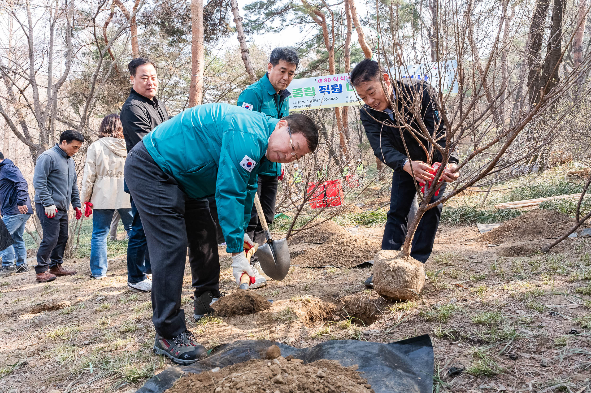 20250404-탄소중립 직원 나무심기 행사(제80회 식목일 기념) 20250404-43861_L_173025.jpg