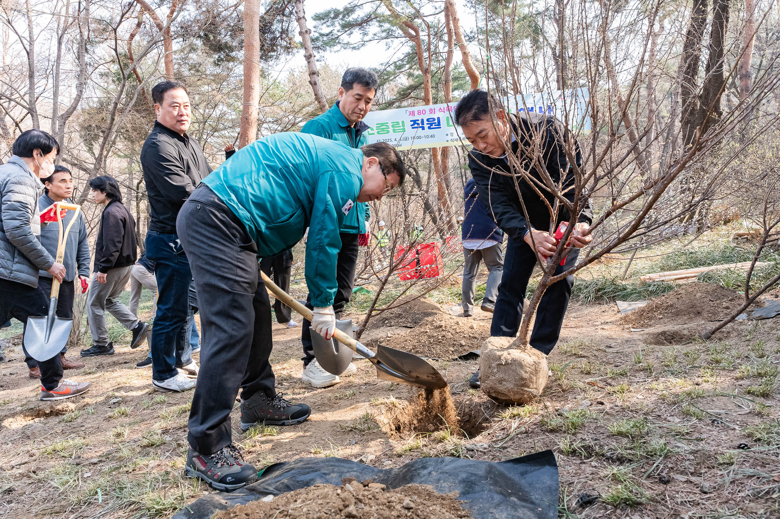 20250404-탄소중립 직원 나무심기 행사(제80회 식목일 기념) 20250404-43870_L_173025.jpg
