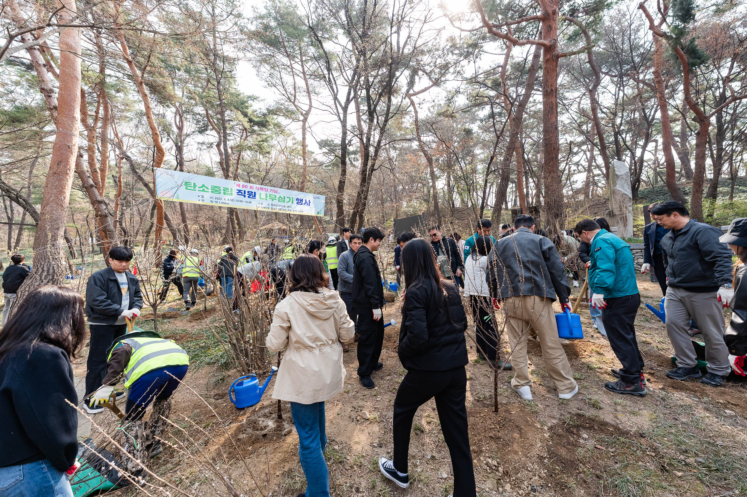 20250404-탄소중립 직원 나무심기 행사(제80회 식목일 기념) 20250404-43997_L_173026.jpg