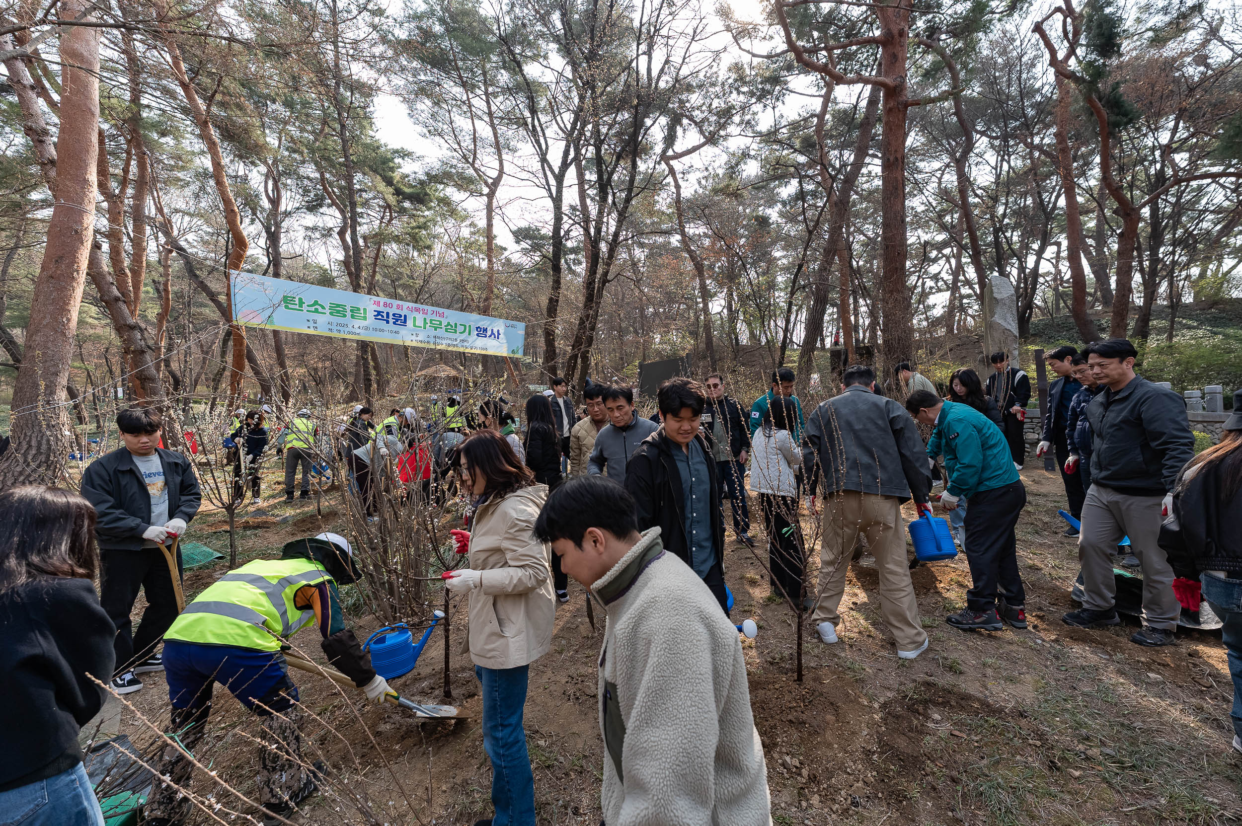 20250404-탄소중립 직원 나무심기 행사(제80회 식목일 기념) 20250404-44001_L_173026.jpg