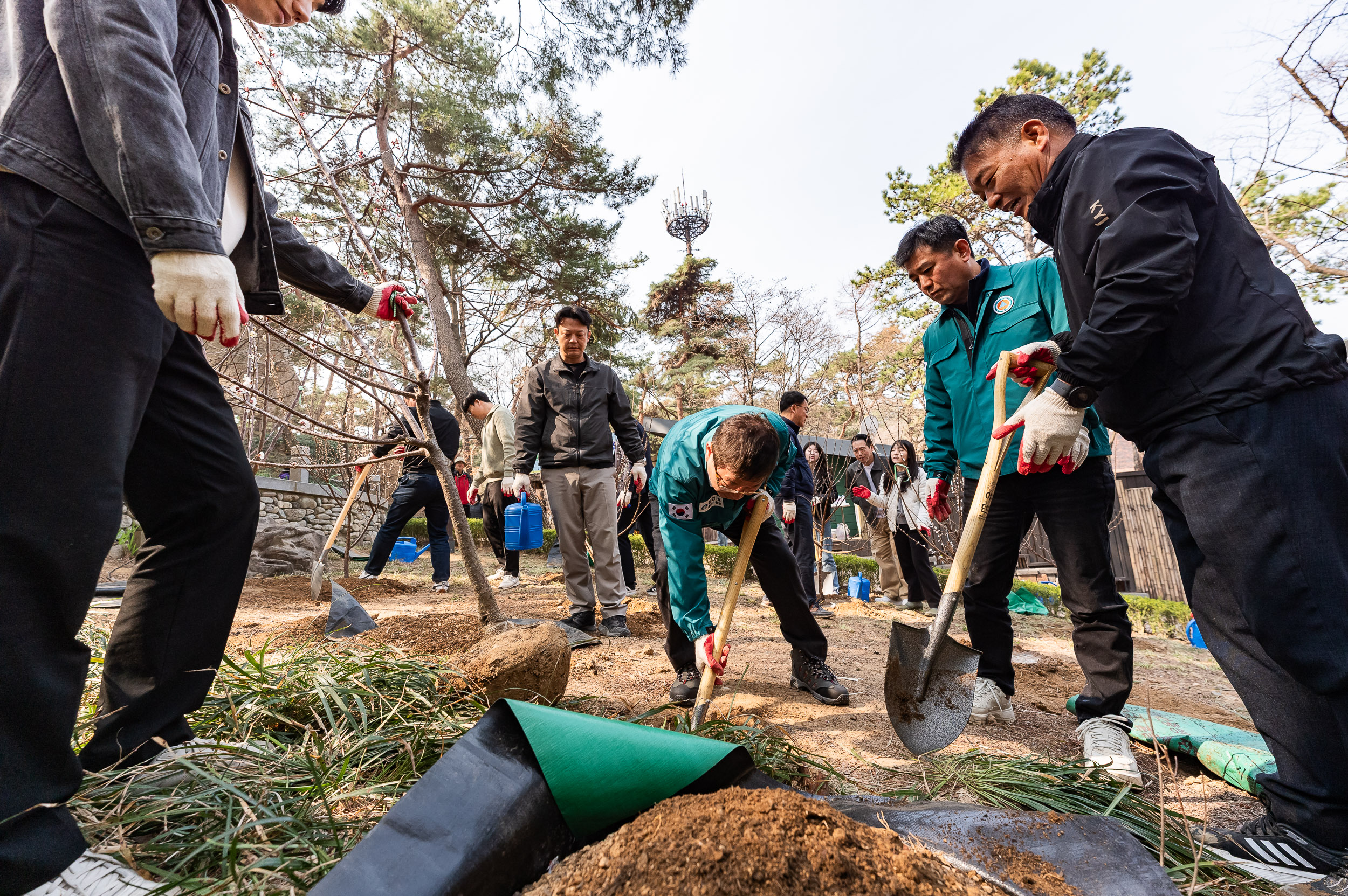 20250404-탄소중립 직원 나무심기 행사(제80회 식목일 기념) 20250404-44020_L_173027.jpg