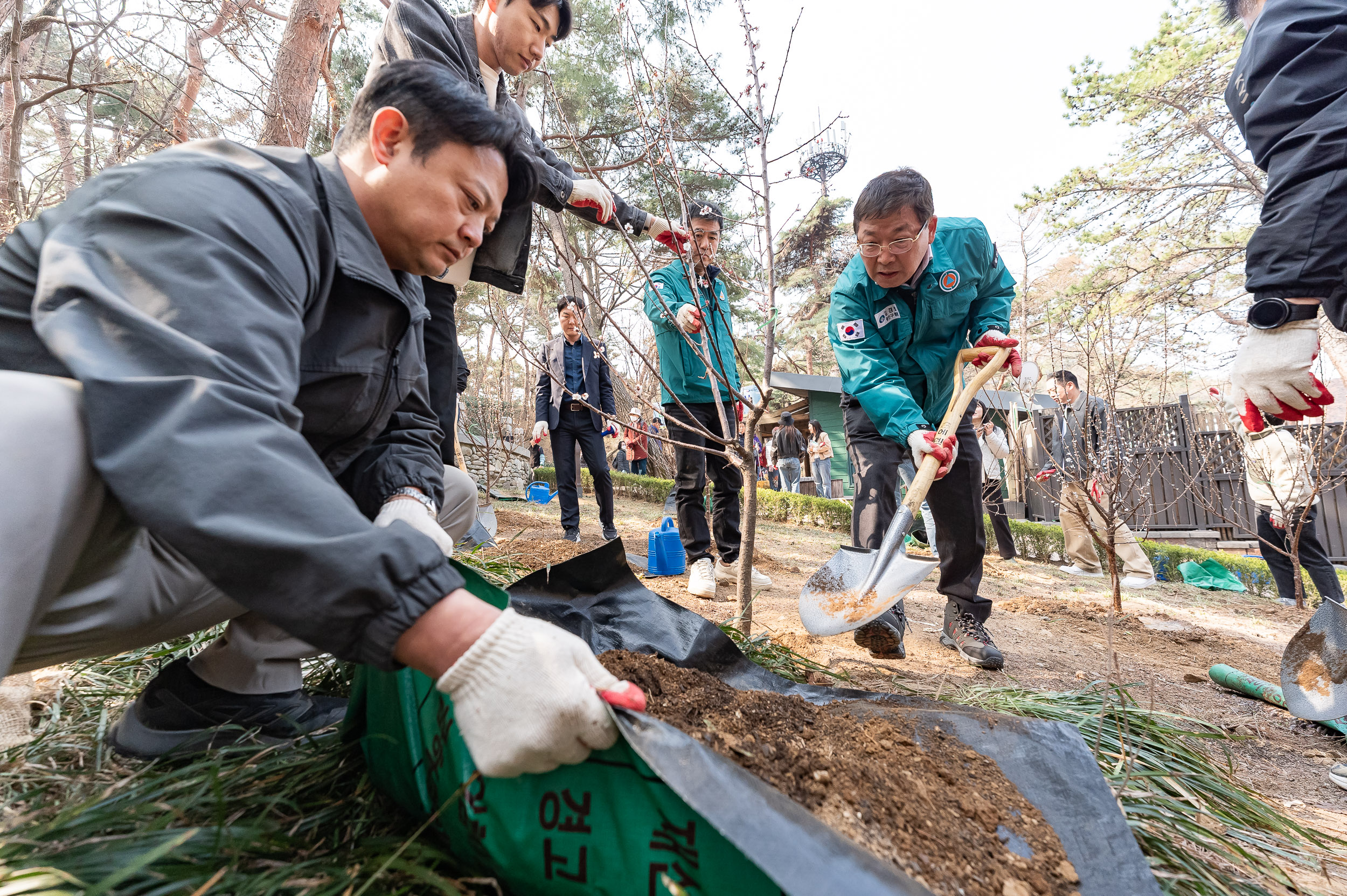 20250404-탄소중립 직원 나무심기 행사(제80회 식목일 기념) 20250404-44068_L_173027.jpg