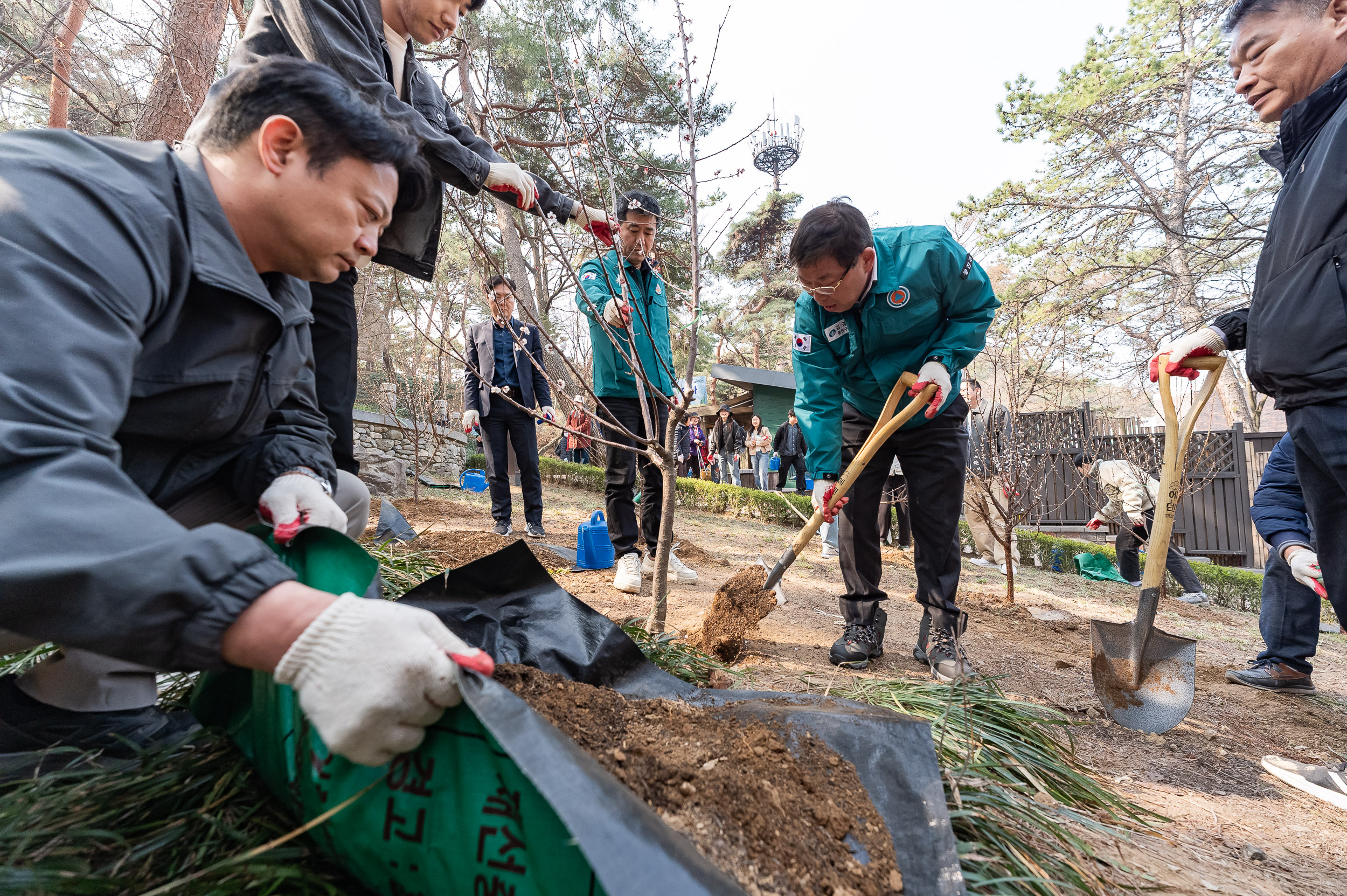 20250404-탄소중립 직원 나무심기 행사(제80회 식목일 기념) 20250404-44082_L_173028.jpg