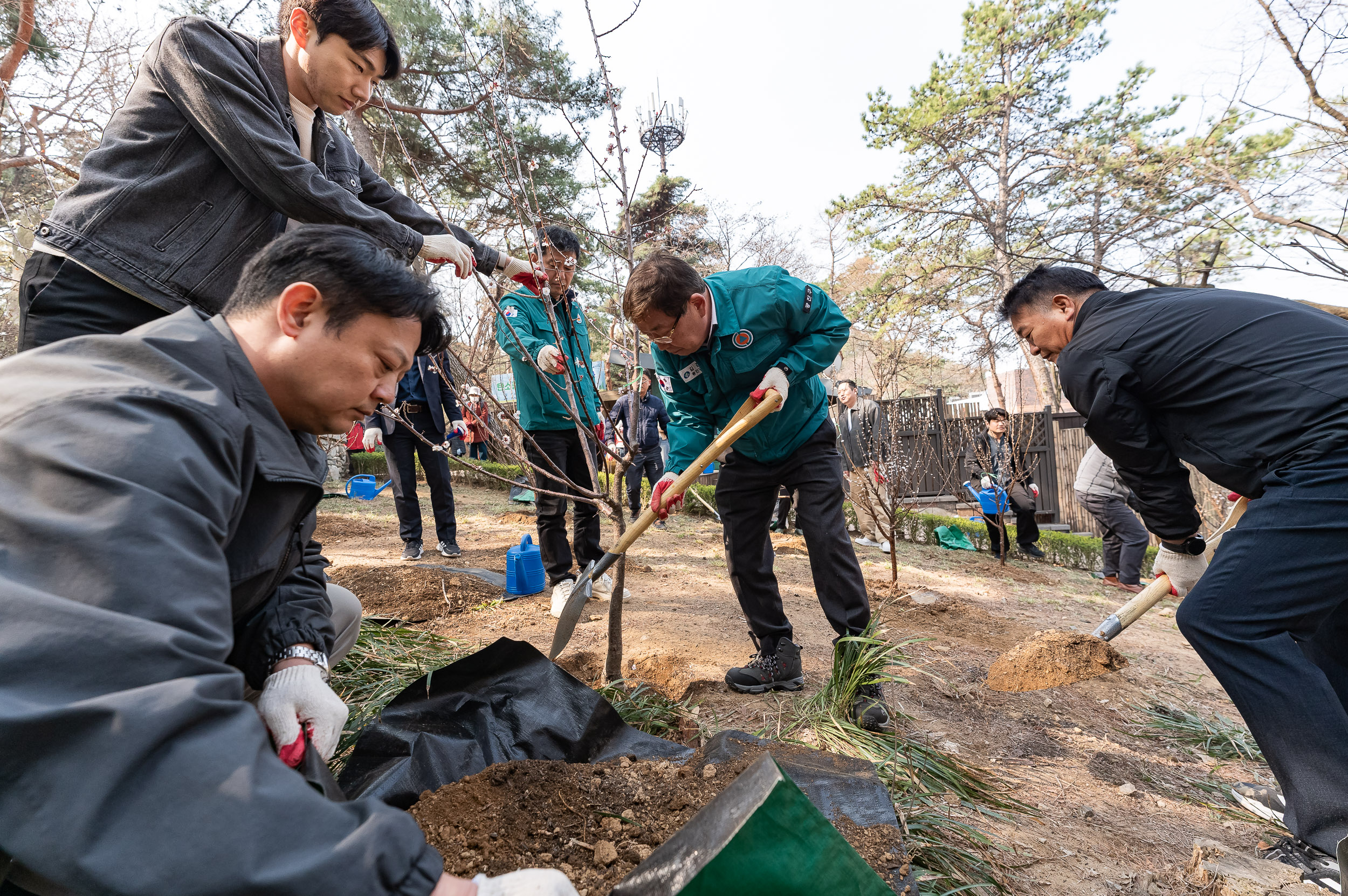 20250404-탄소중립 직원 나무심기 행사(제80회 식목일 기념) 20250404-44096_L_173028.jpg