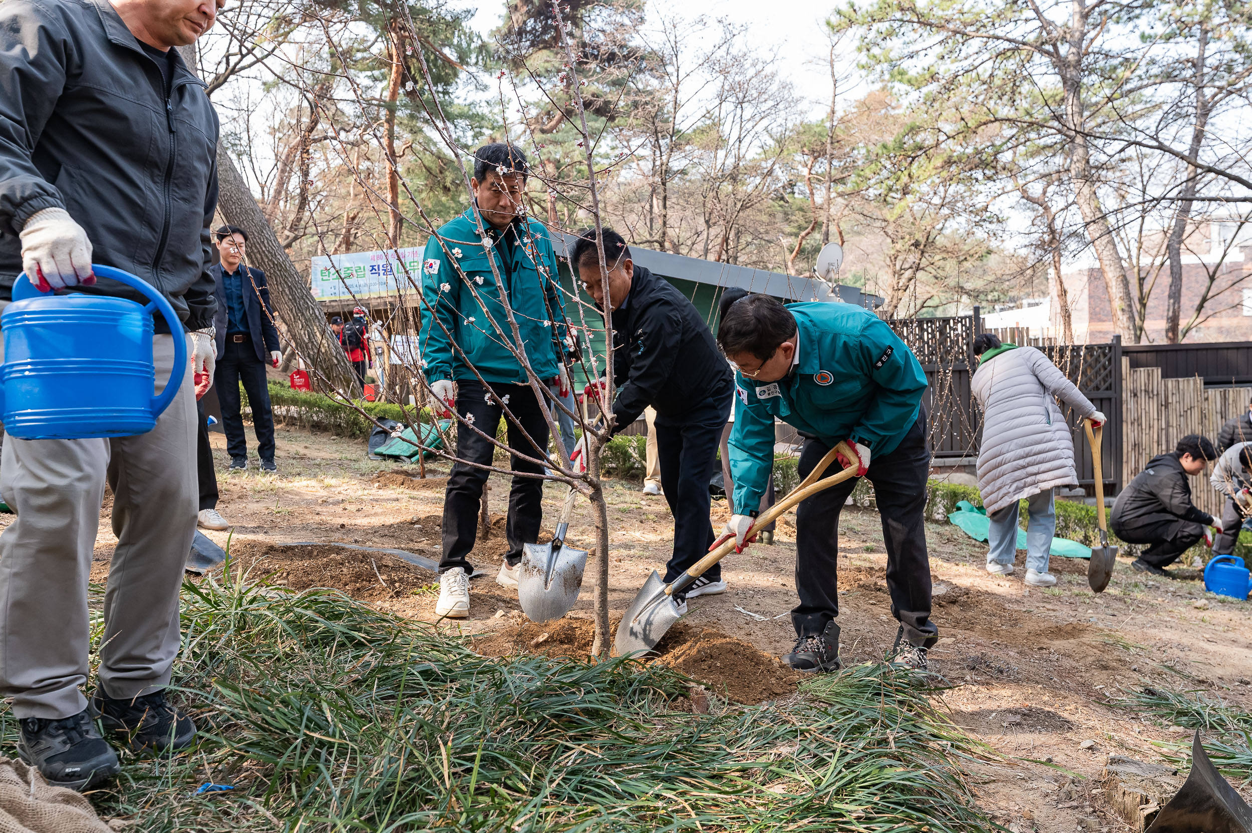 20250404-탄소중립 직원 나무심기 행사(제80회 식목일 기념) 20250404-44146_L_173029.jpg
