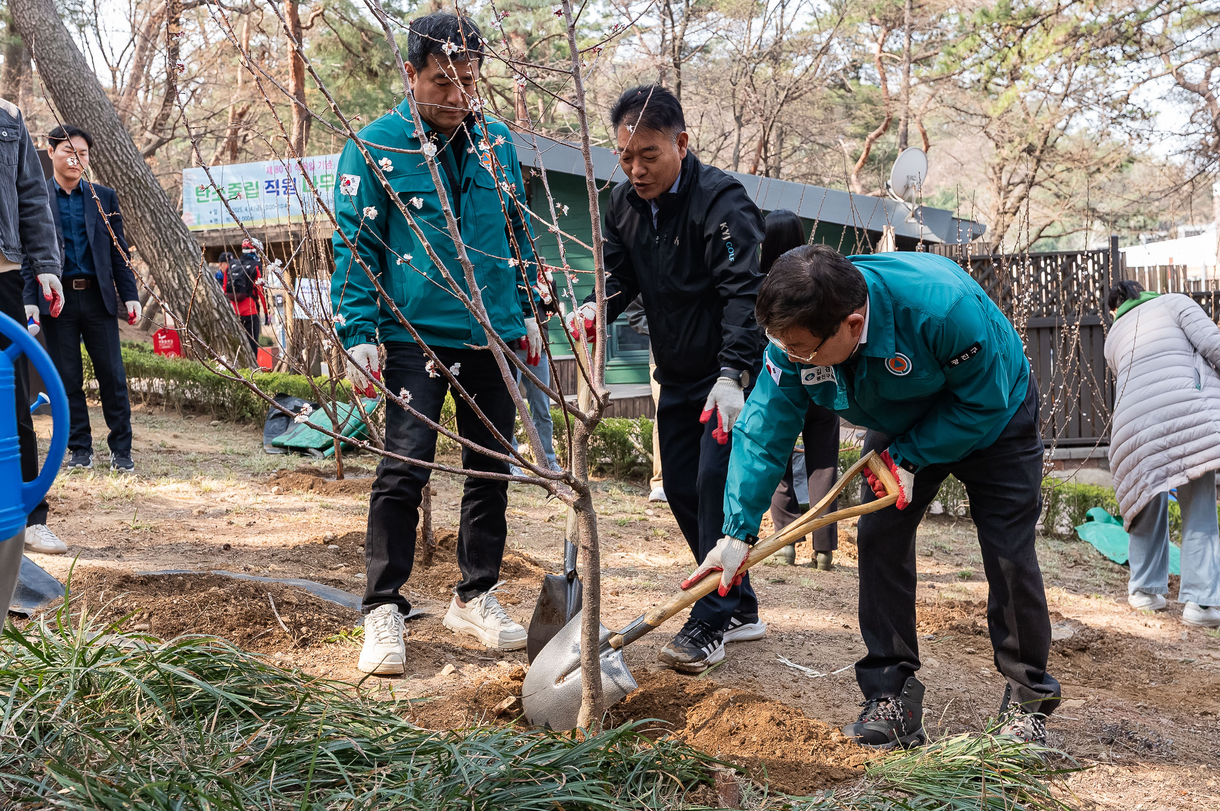 20250404-탄소중립 직원 나무심기 행사(제80회 식목일 기념) 20250404-44150_L_173029.jpg