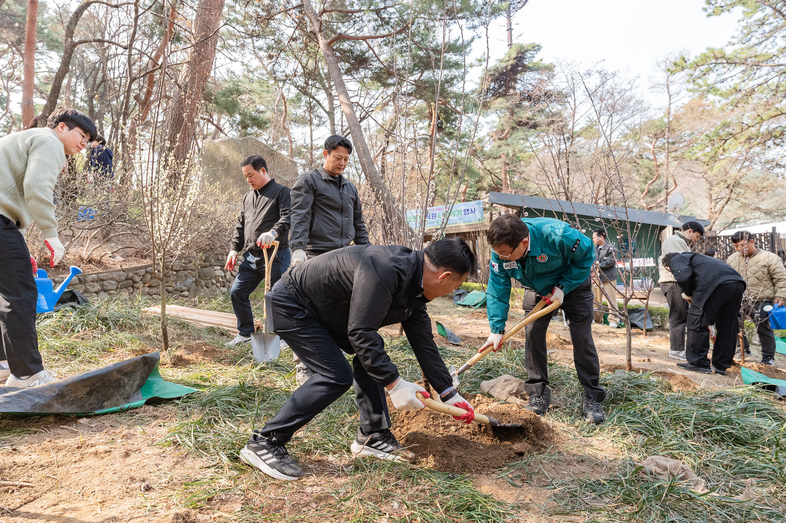 20250404-탄소중립 직원 나무심기 행사(제80회 식목일 기념) 20250404-44185_L_173030.jpg