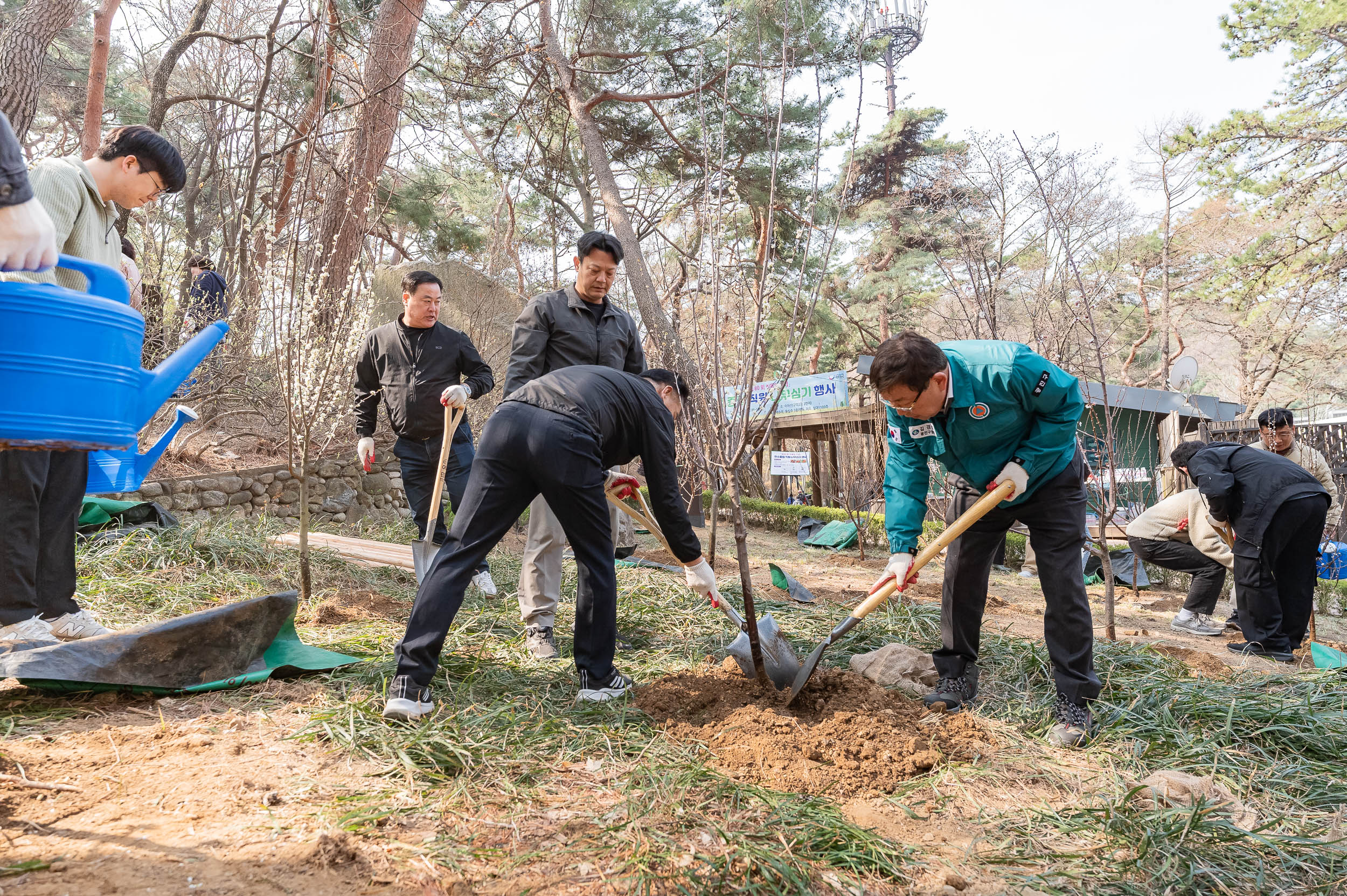 20250404-탄소중립 직원 나무심기 행사(제80회 식목일 기념) 20250404-44189_L_173030.jpg