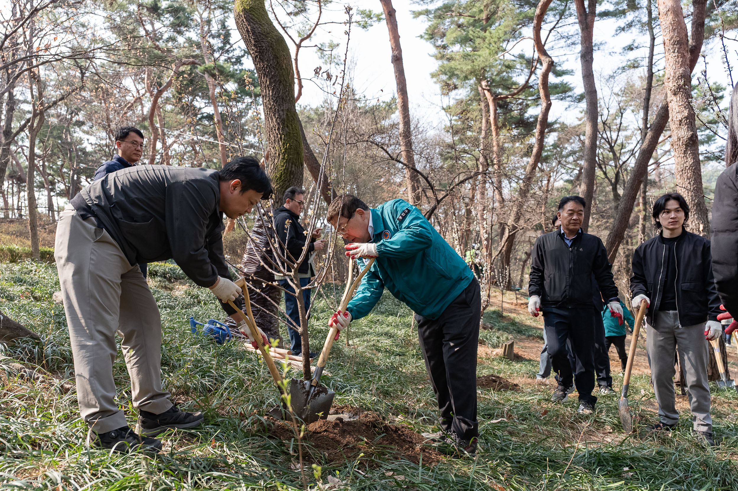 20250404-탄소중립 직원 나무심기 행사(제80회 식목일 기념) 20250404-44414_L_173035.jpg