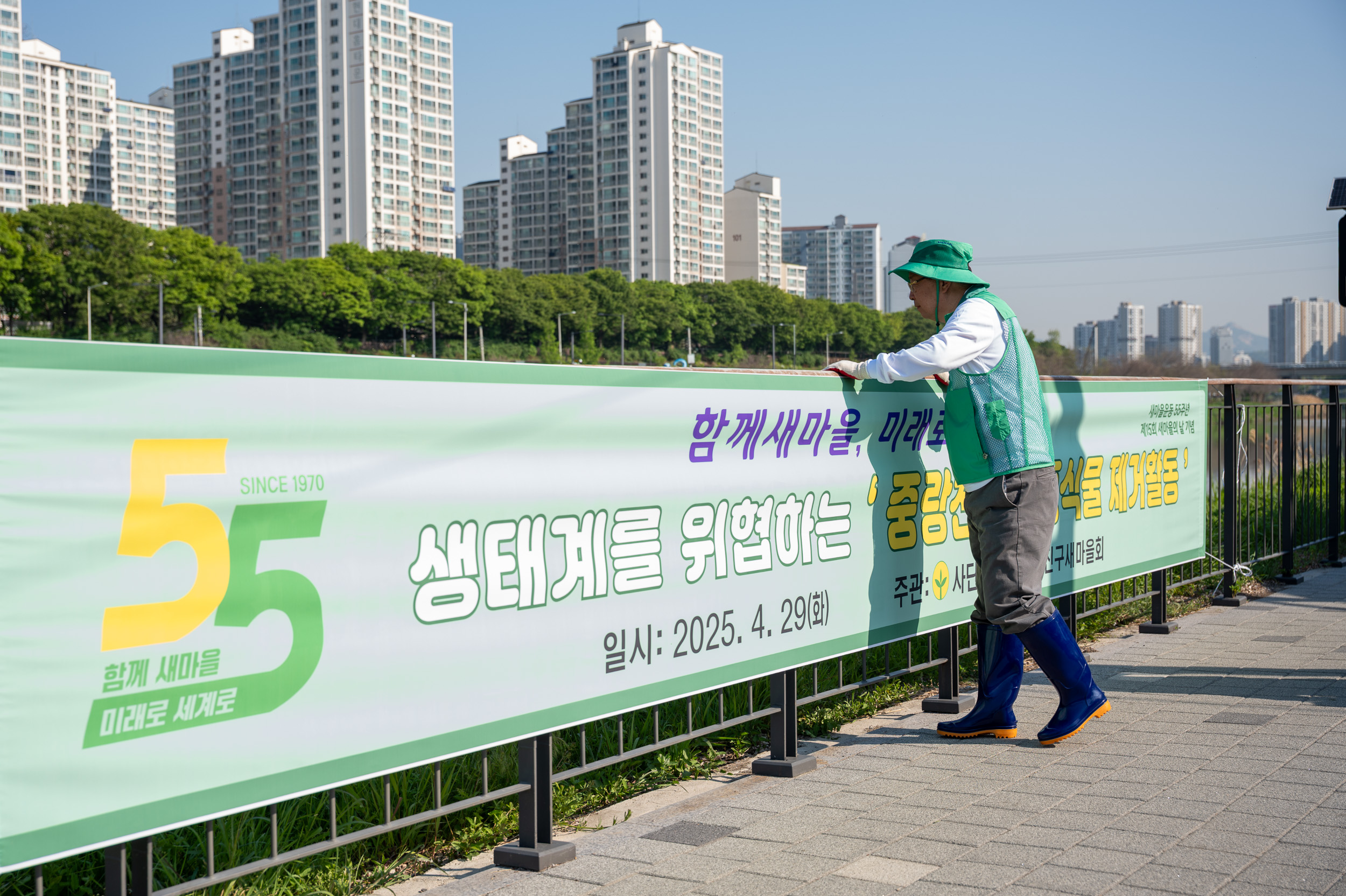 20250429-중랑천 외래식물 환경정화 활동-새마을지도자광진구협의회 20250429-65483_L_162215.jpg