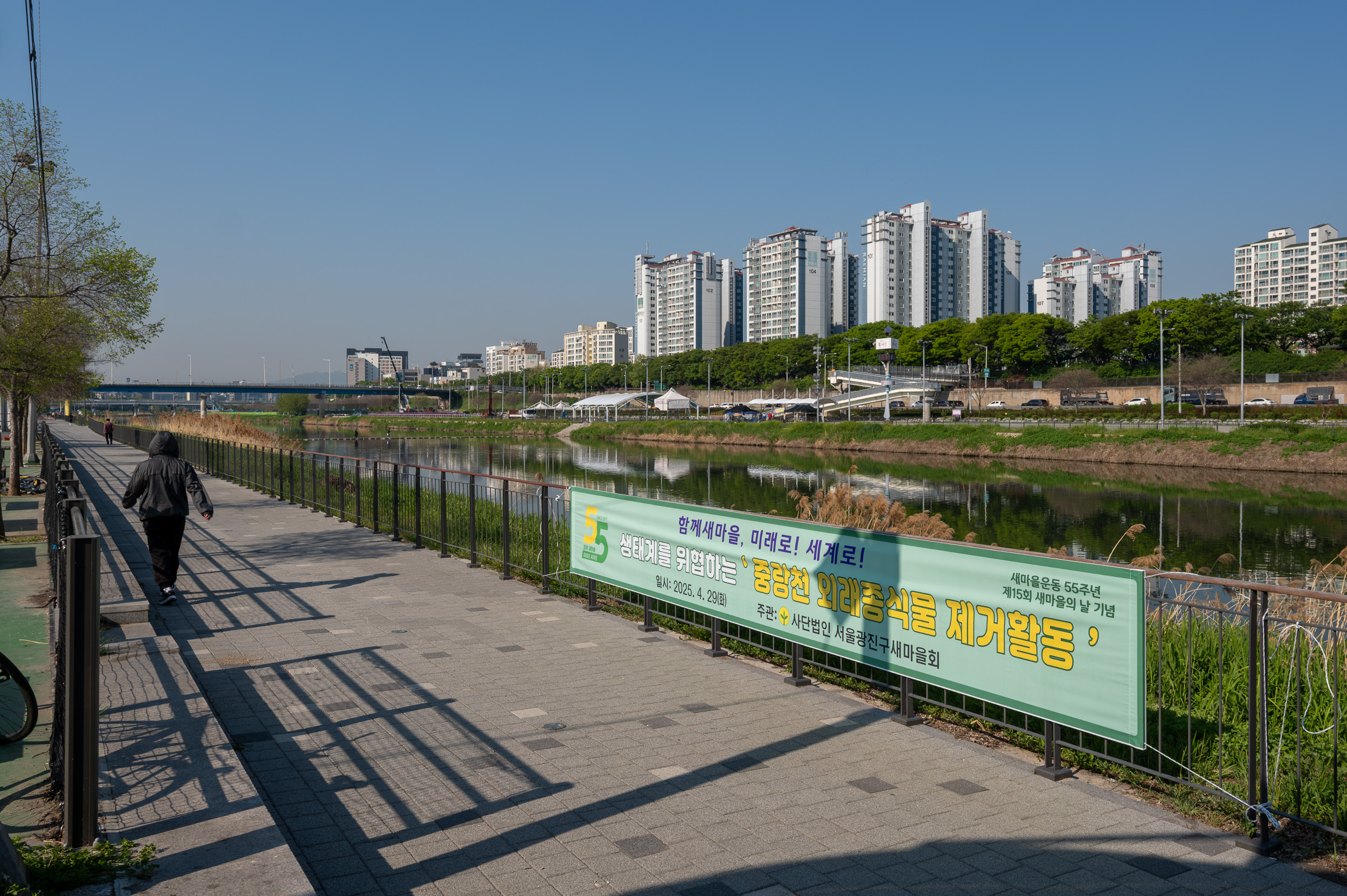 20250429-중랑천 외래식물 환경정화 활동-새마을지도자광진구협의회 20250429-65430_L_162215.jpg