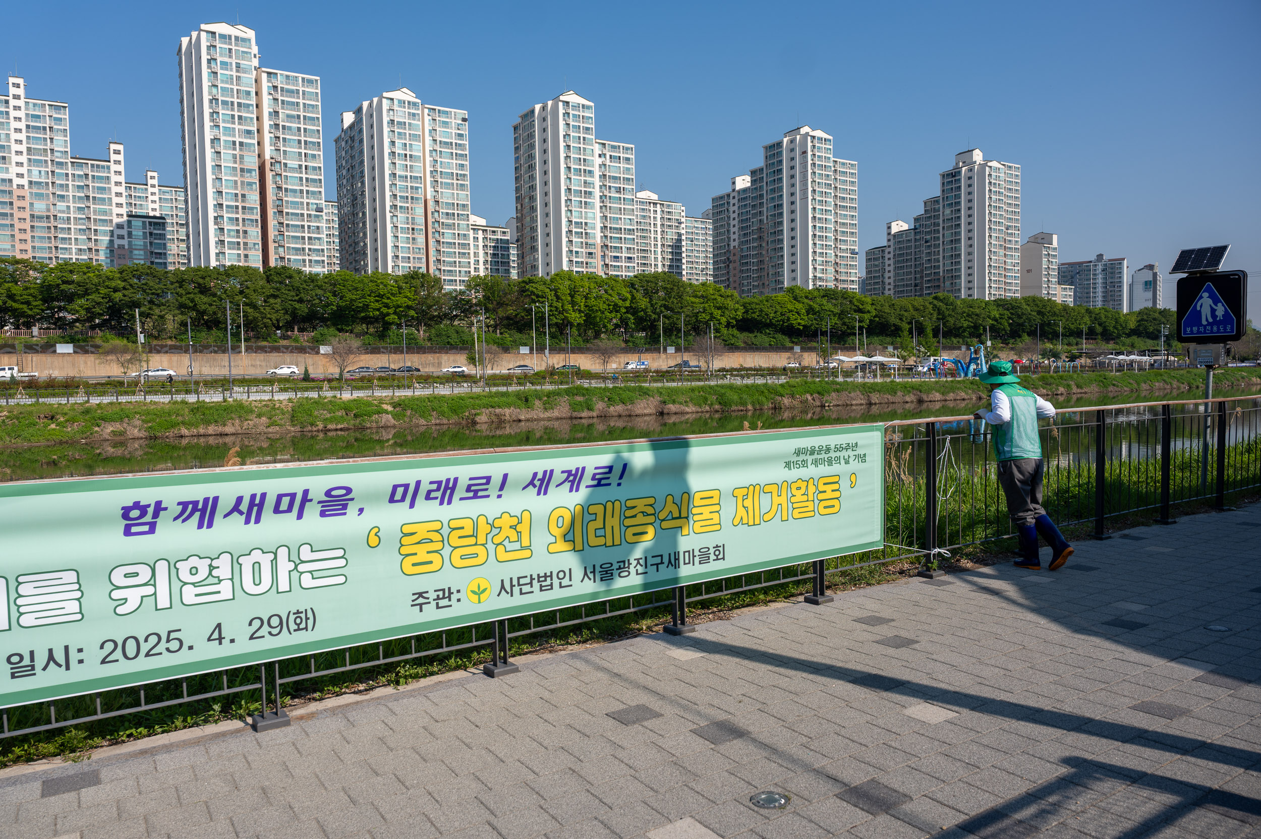 20250429-중랑천 외래식물 환경정화 활동-새마을지도자광진구협의회 20250429-65469_L_162215.jpg
