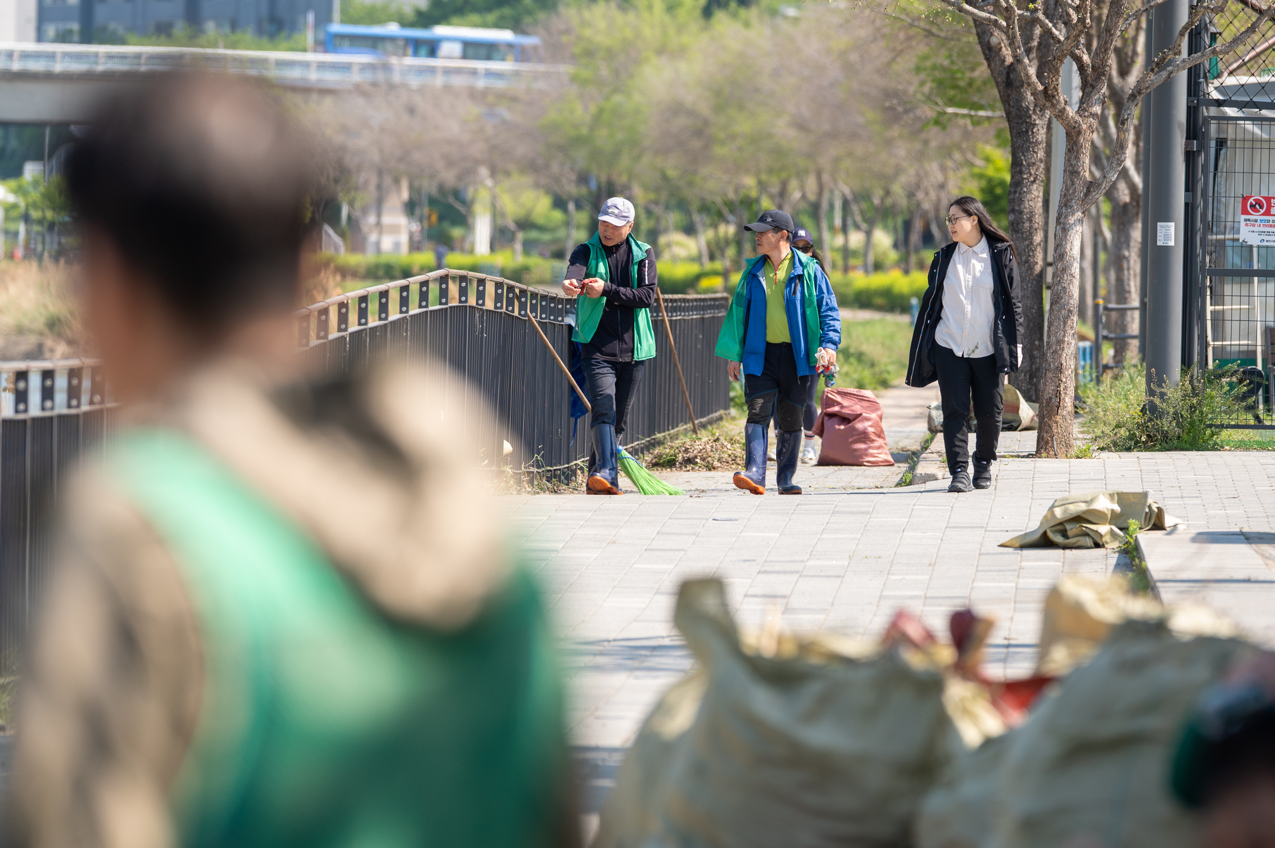 20250429-중랑천 외래식물 환경정화 활동-새마을지도자광진구협의회 20250429-66395_L_162217.jpg