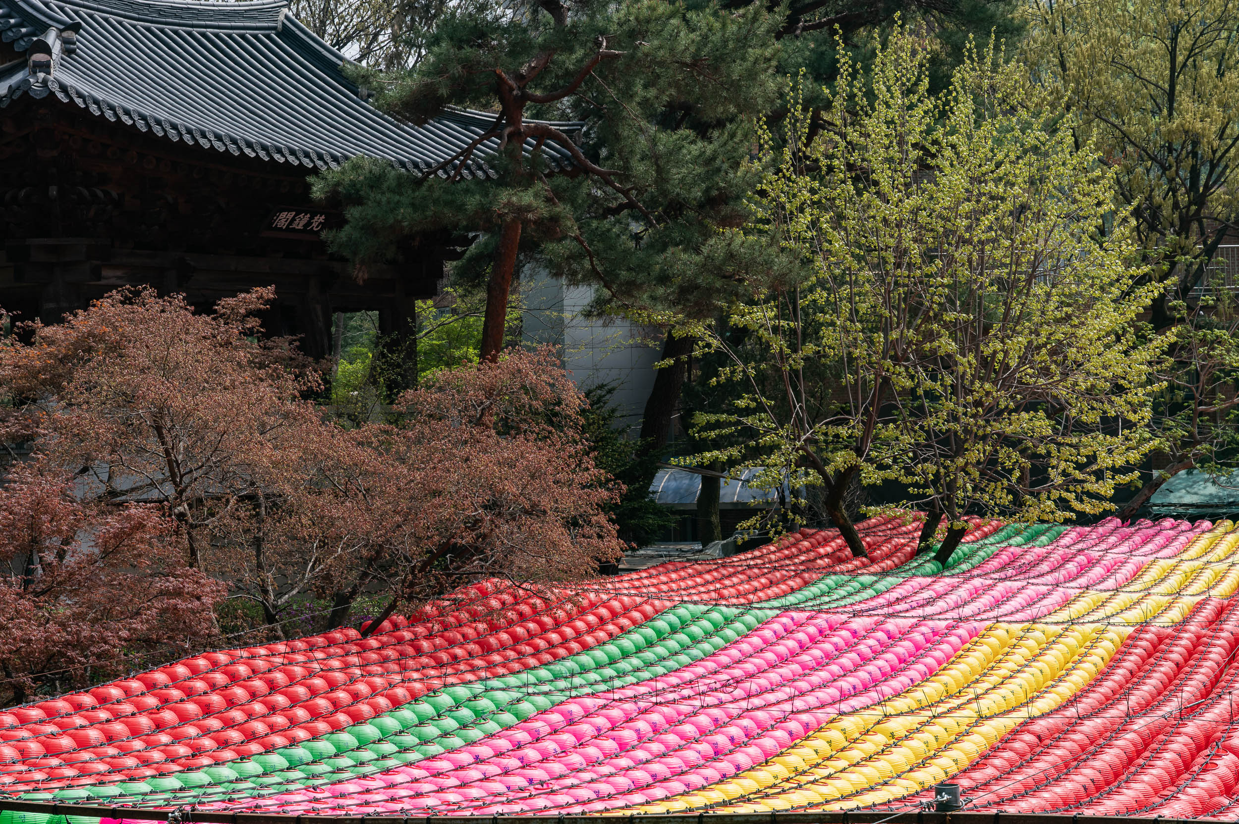 20250418-부처님 오신날 사찰방문 20250418-55914_L_103234.jpg