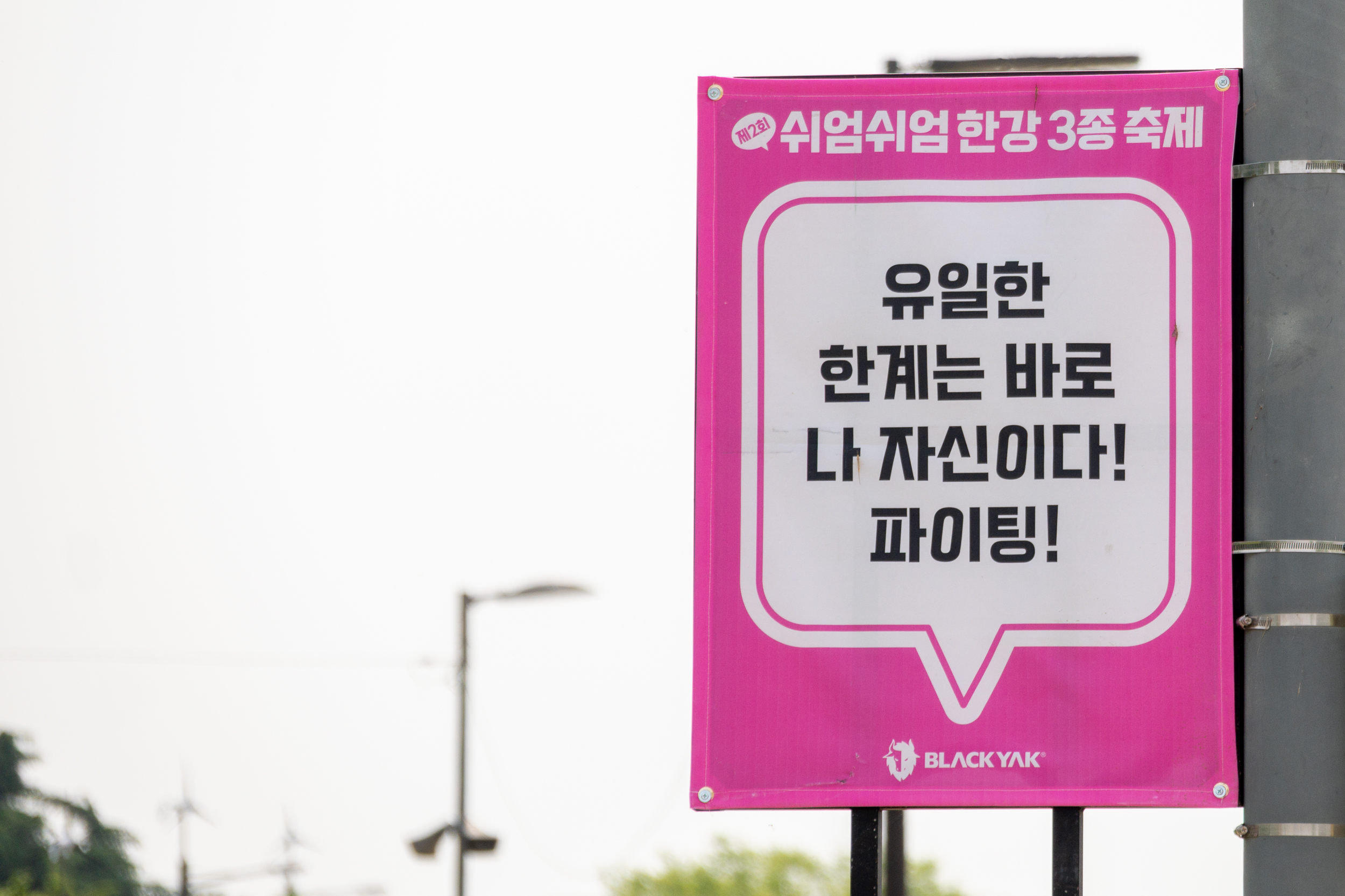 20250531-제2회 쉬엄쉬엄 한강 3종 축제 20250531-90570_L_105426.jpg