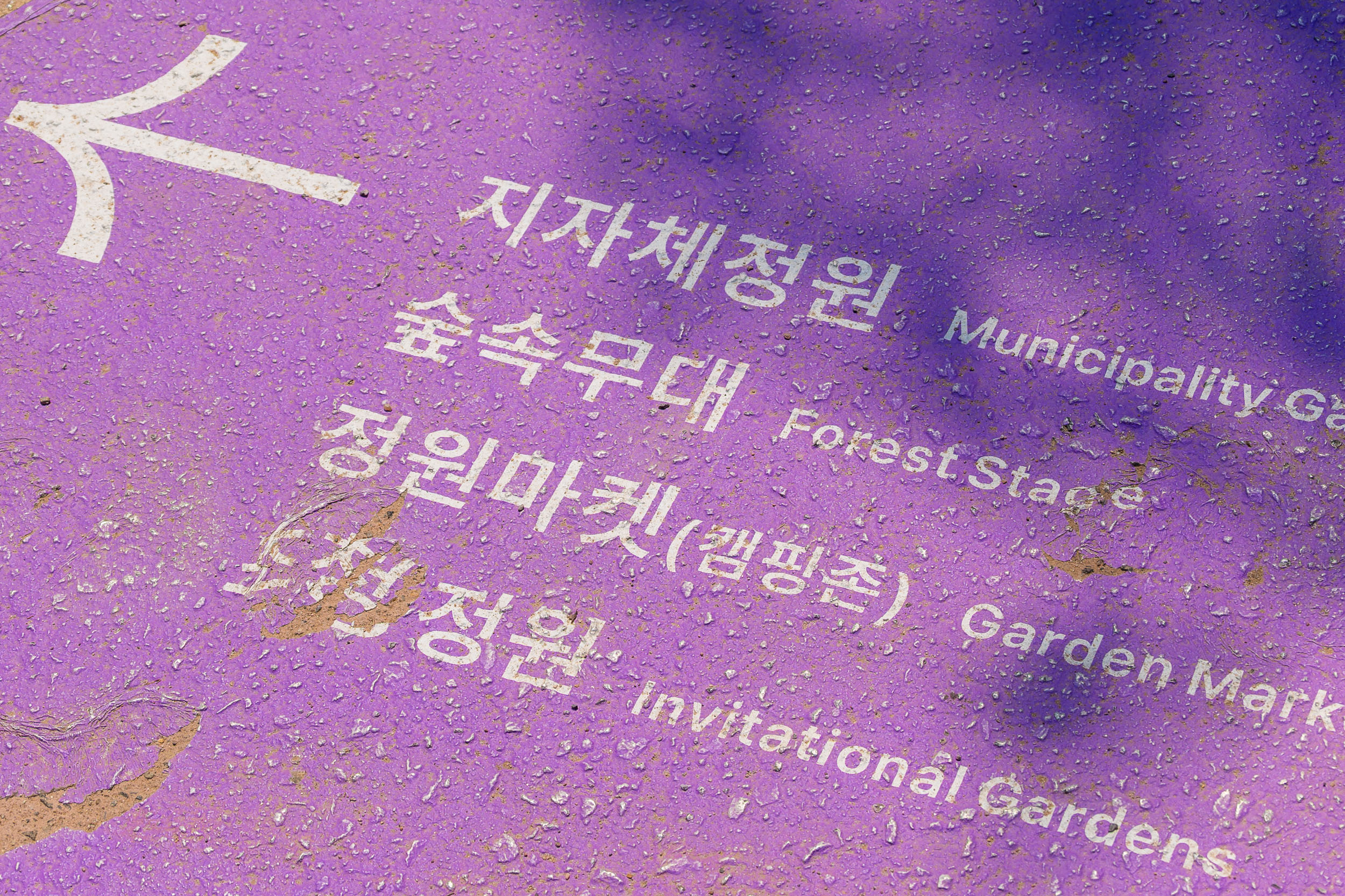 20250529-서울 국제 정원박람회 방문(보라매공원) 20250529-88818_L_104613.jpg