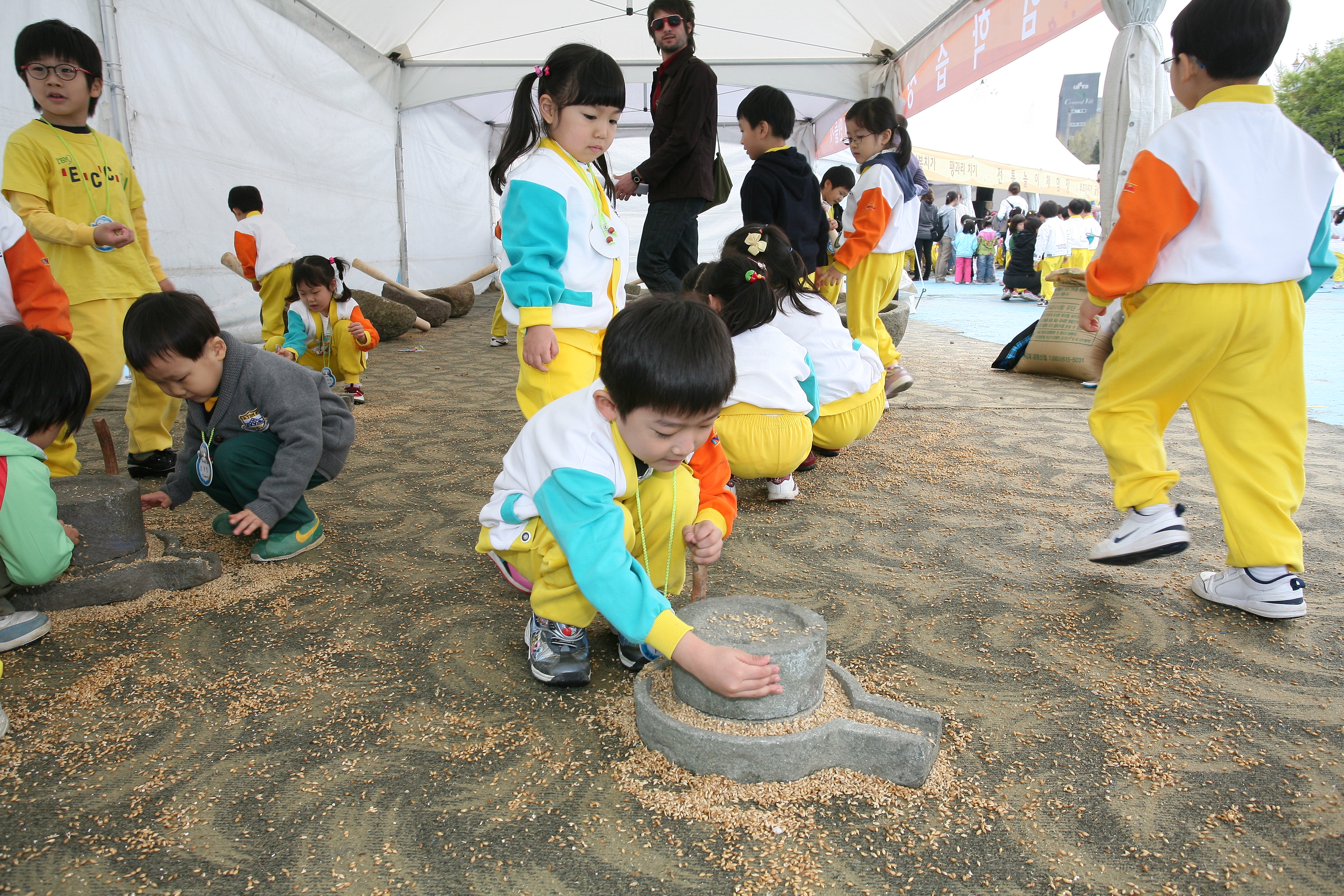 어린이회관 나비 곤충축제 10212.JPG