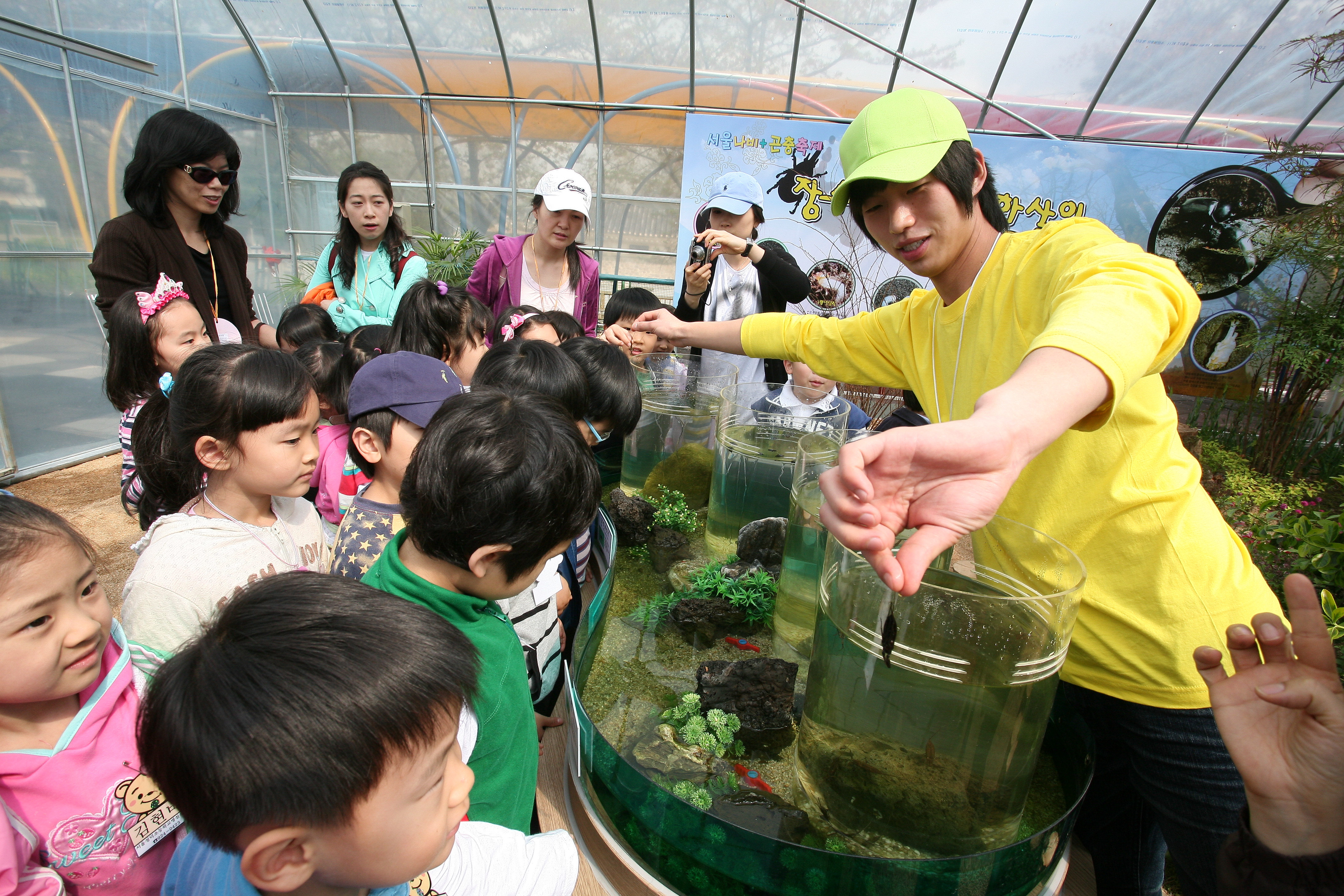 어린이회관 나비 곤충축제 10200.JPG