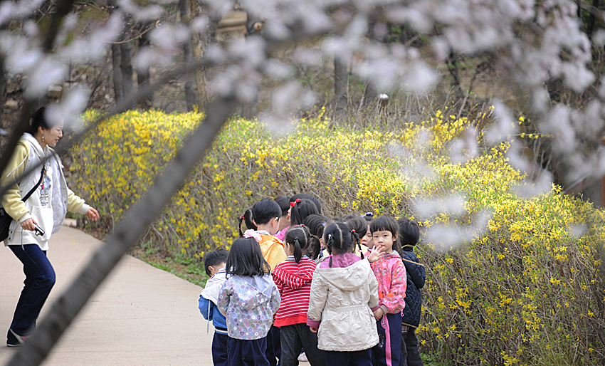 20110415-아차산 봄 나들이. 30550.JPG