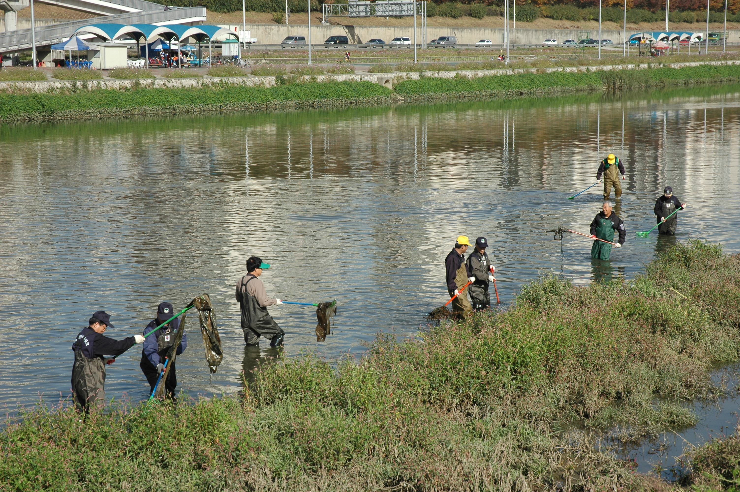 중랑천변 환경정화 활동 I00000004871.JPG