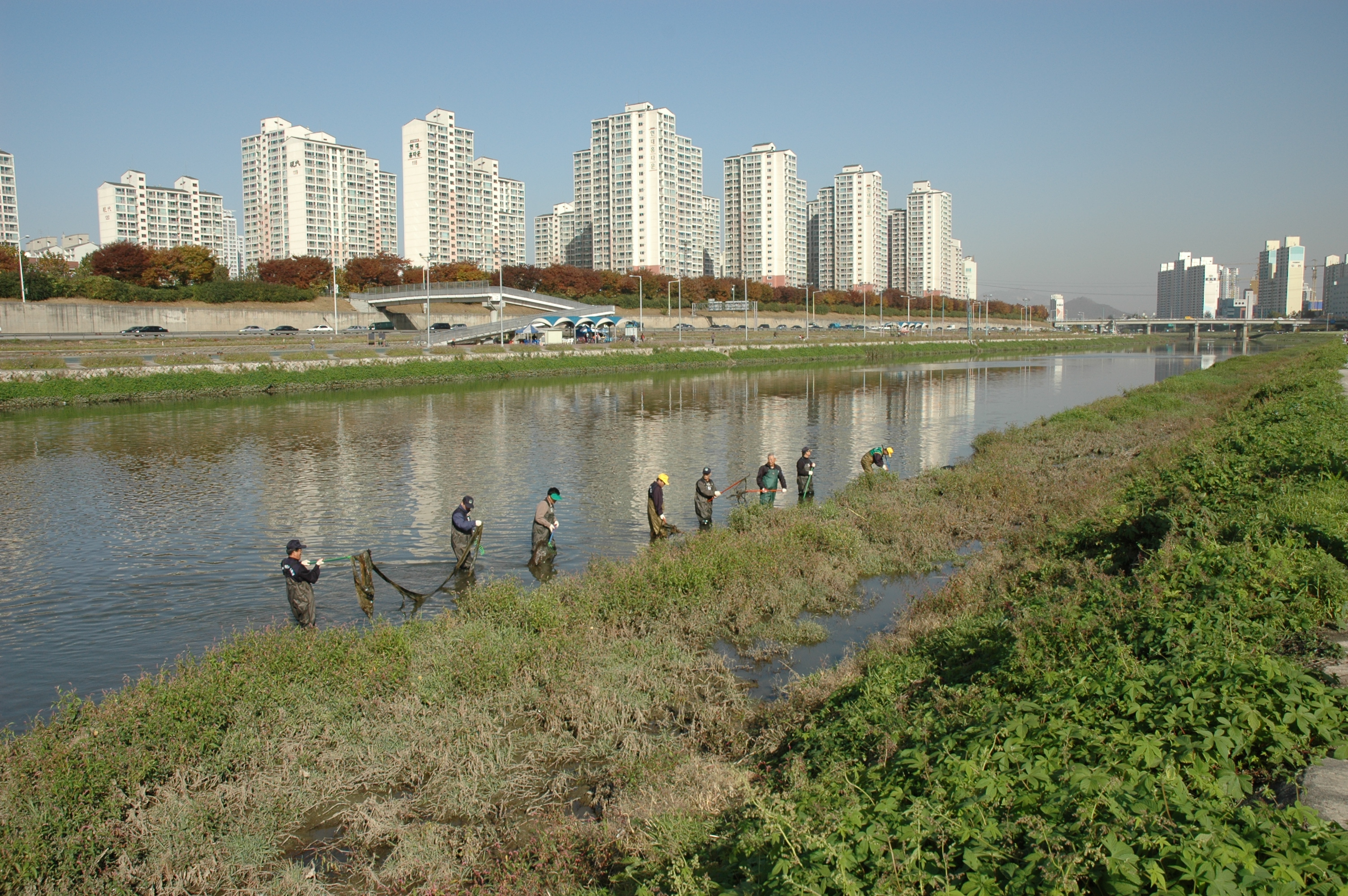 중랑천변 환경정화 활동 I00000004872.JPG