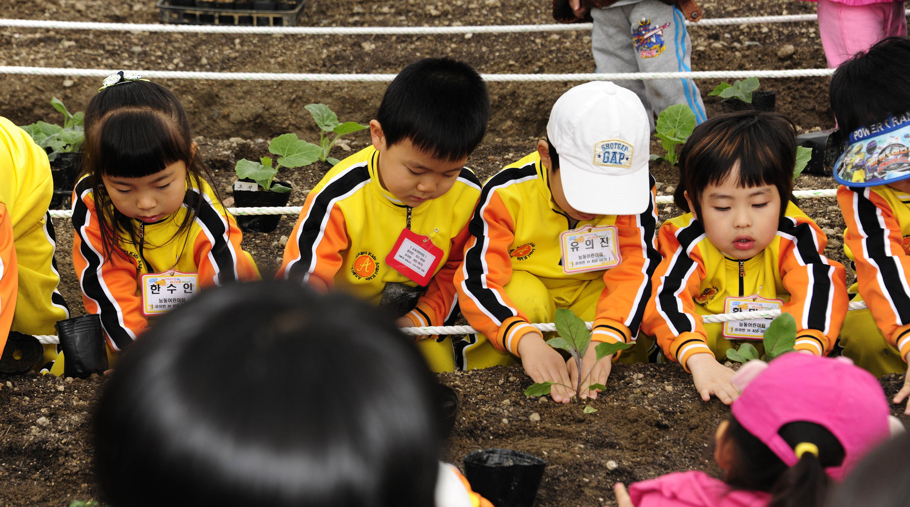 20110409-중량천 둔치 자연학습장 가꾸기 31854.JPG