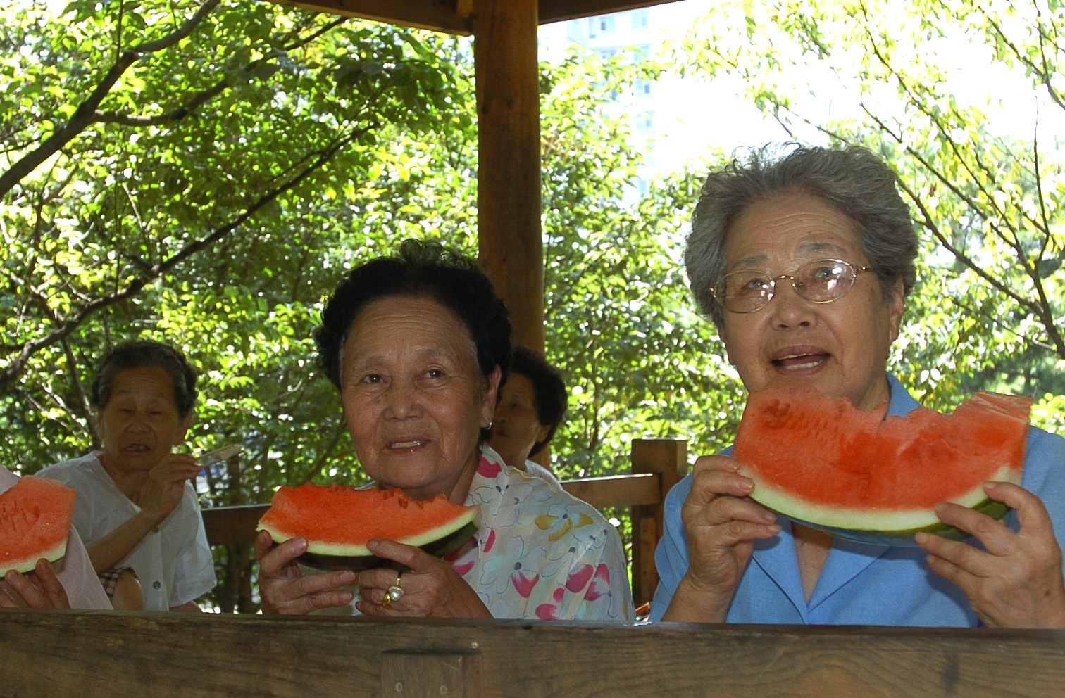 복날맞이 복수박드리기 I00000006145.JPG