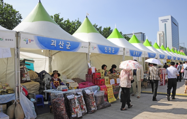 20110831-서울시 농수산물 한마당장터 개막식 39976.JPG