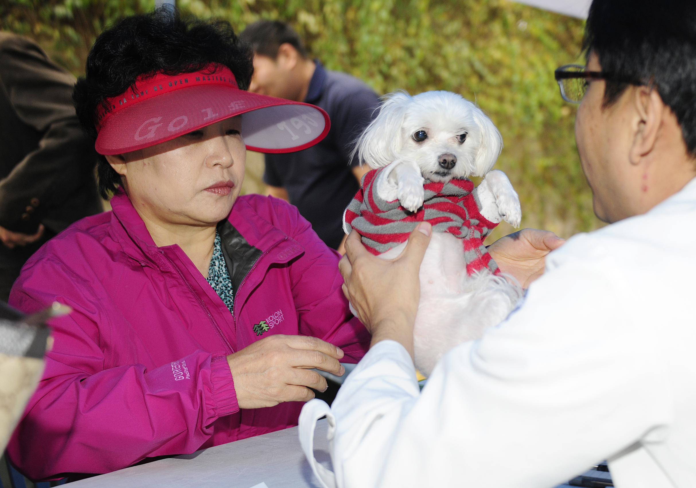 20111104-유기동물과 만남의 날 42897.JPG