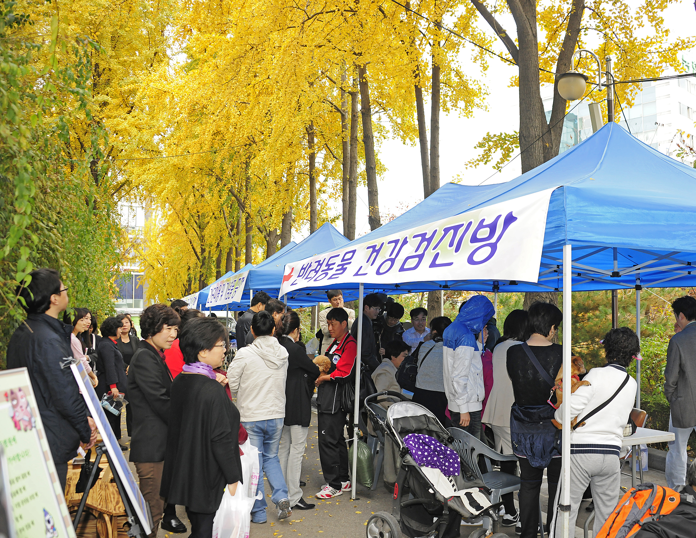 20111104-유기동물과 만남의 날 42904.JPG